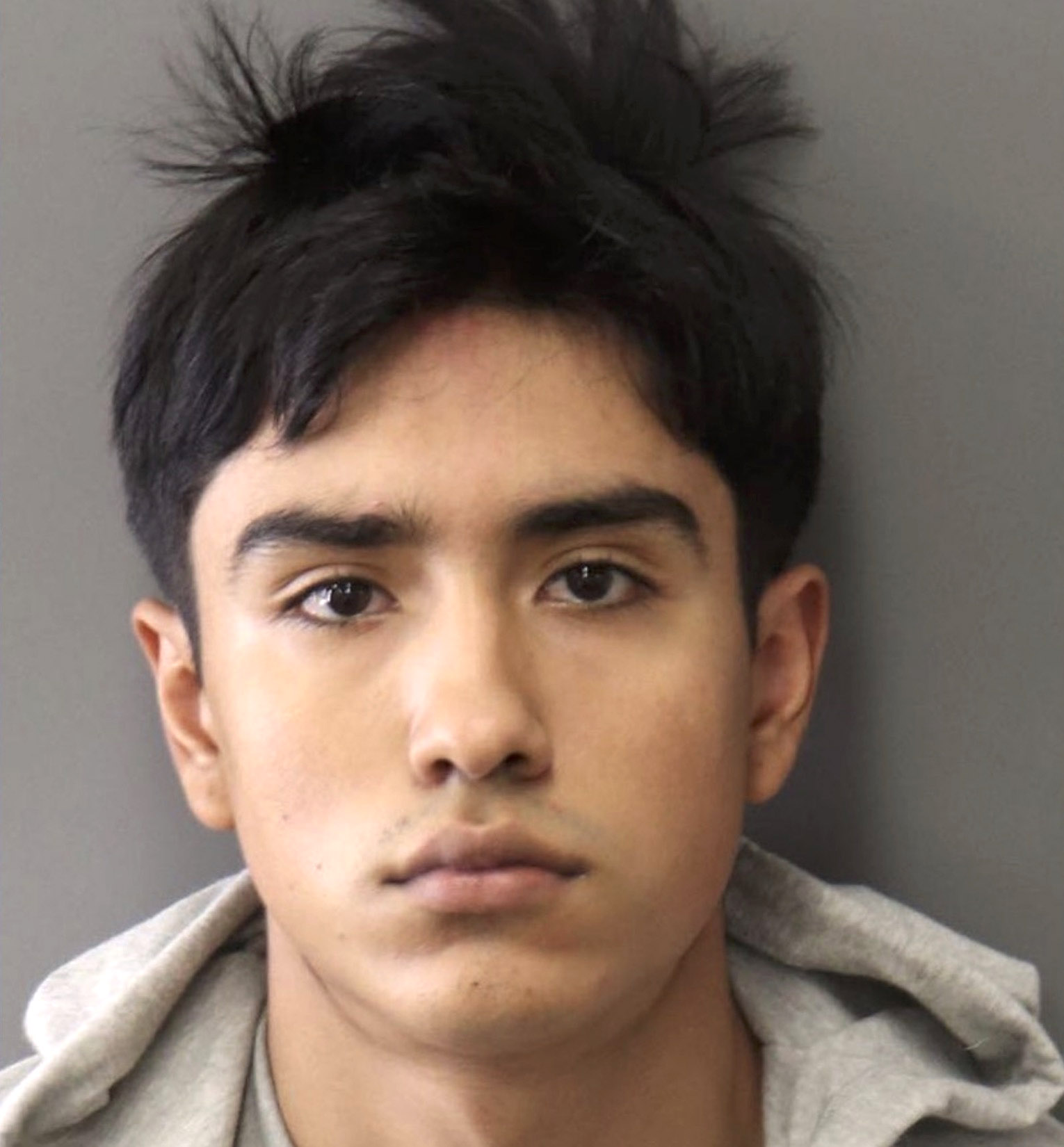 Man charged with federal crime in dog's throat-slitting death - Vimarsana News