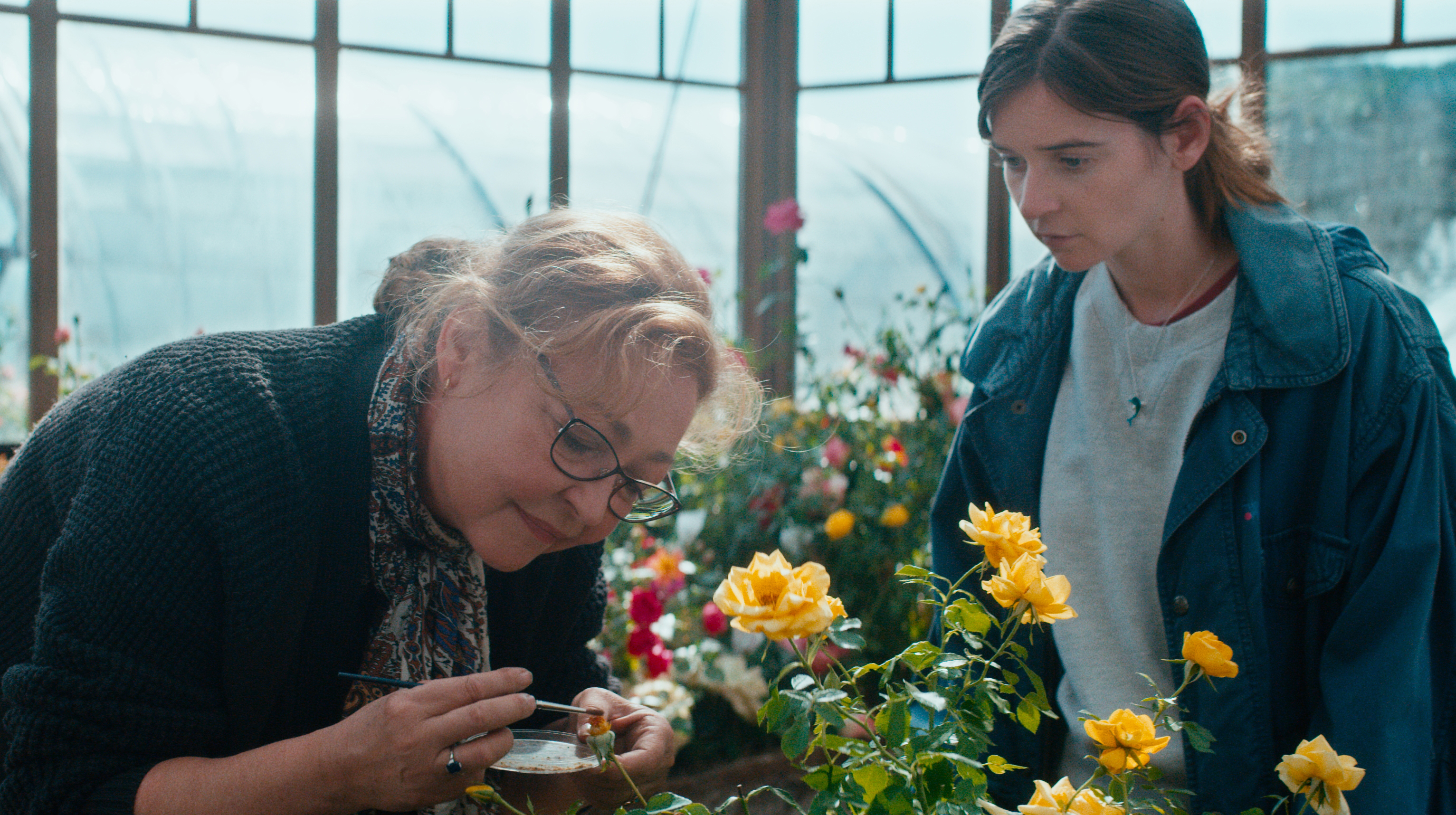 'The Rose Maker' review: Catherine Frot stars in resilient comedy - Vimarsana News