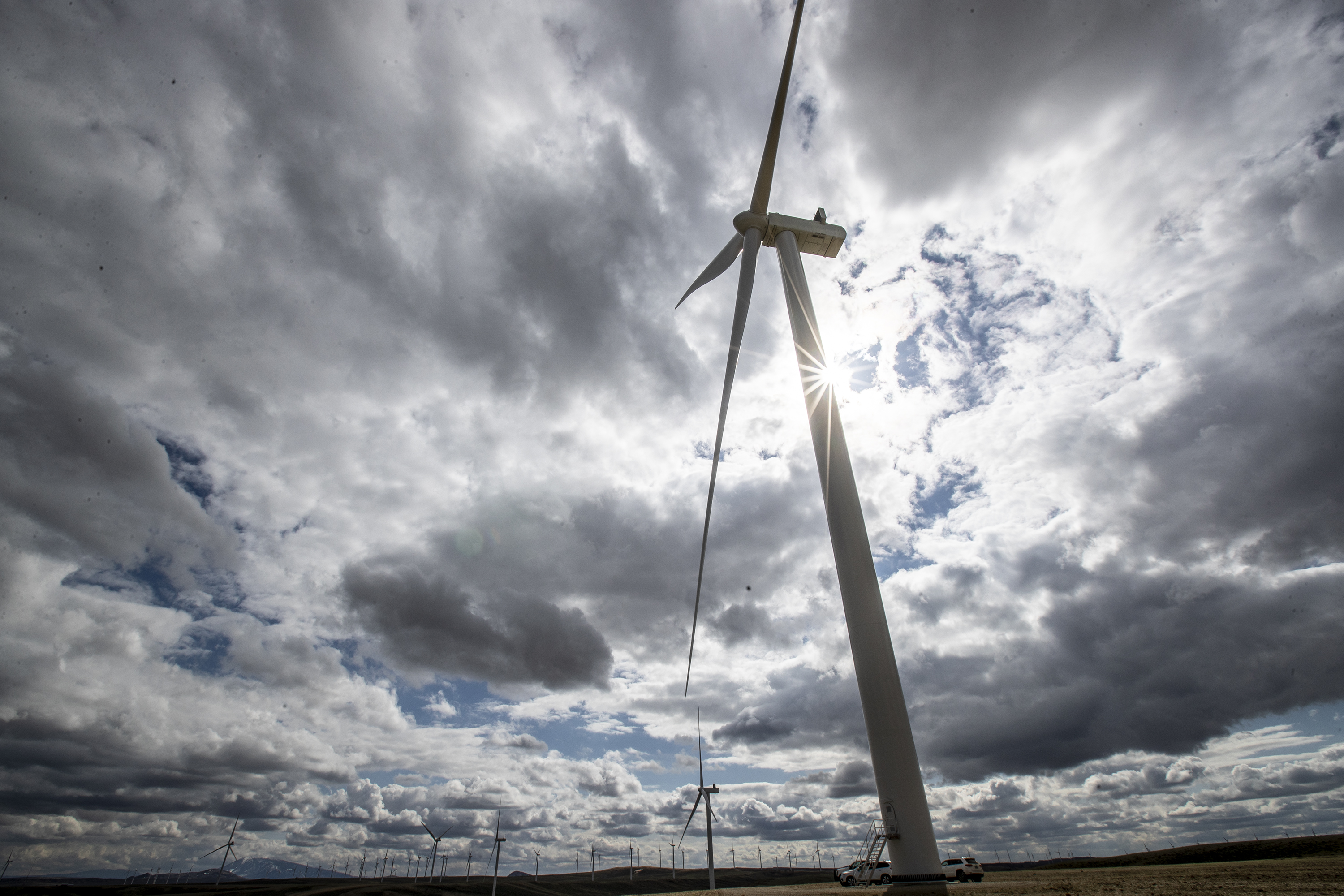 Renewable energy is big business. That's not a bad thing - Vimarsana News