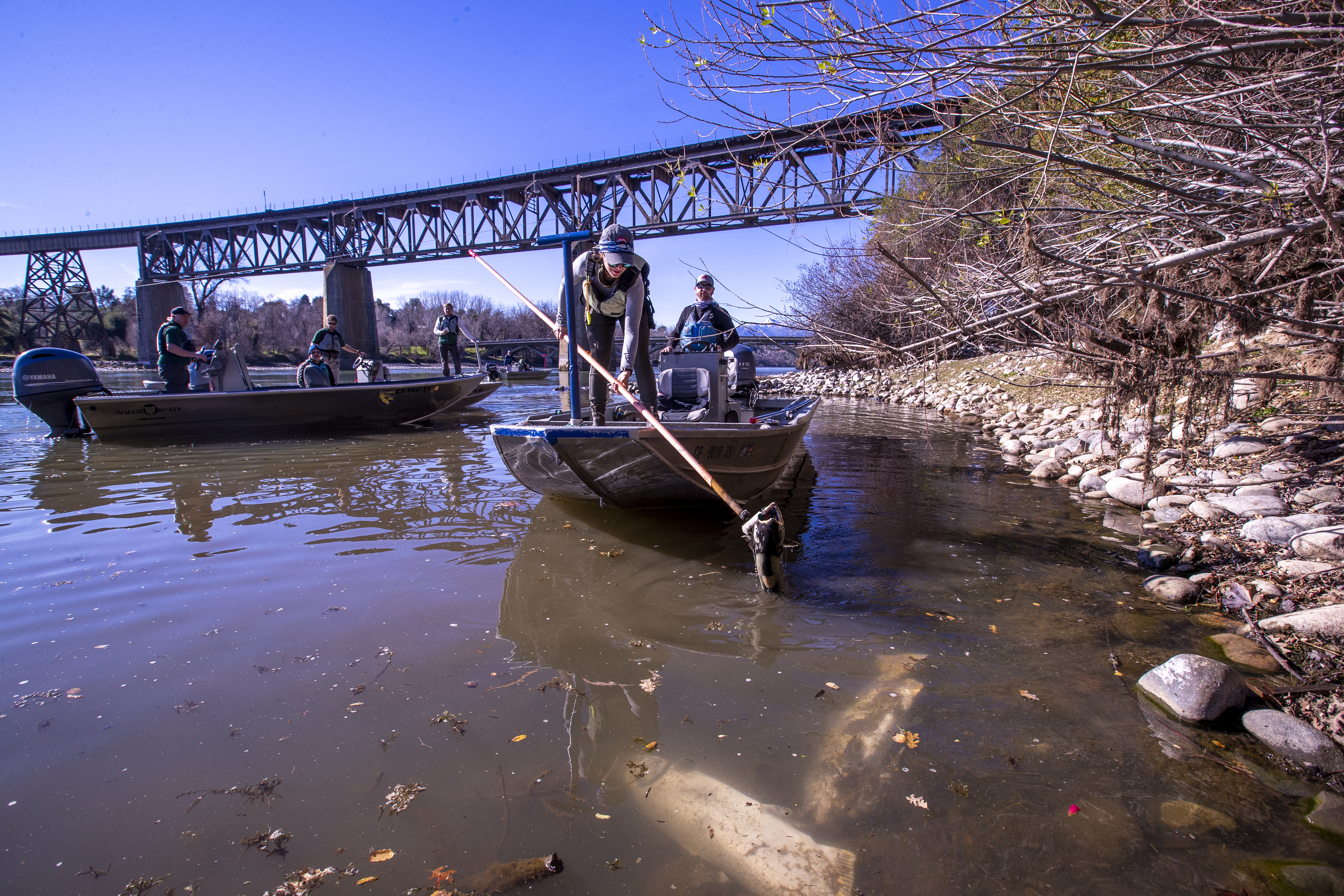 California's environment takes biggest hit during drought - Vimarsana News