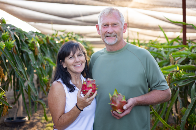 Ramona couple are experts at training their dragon fruit - Vimarsana News