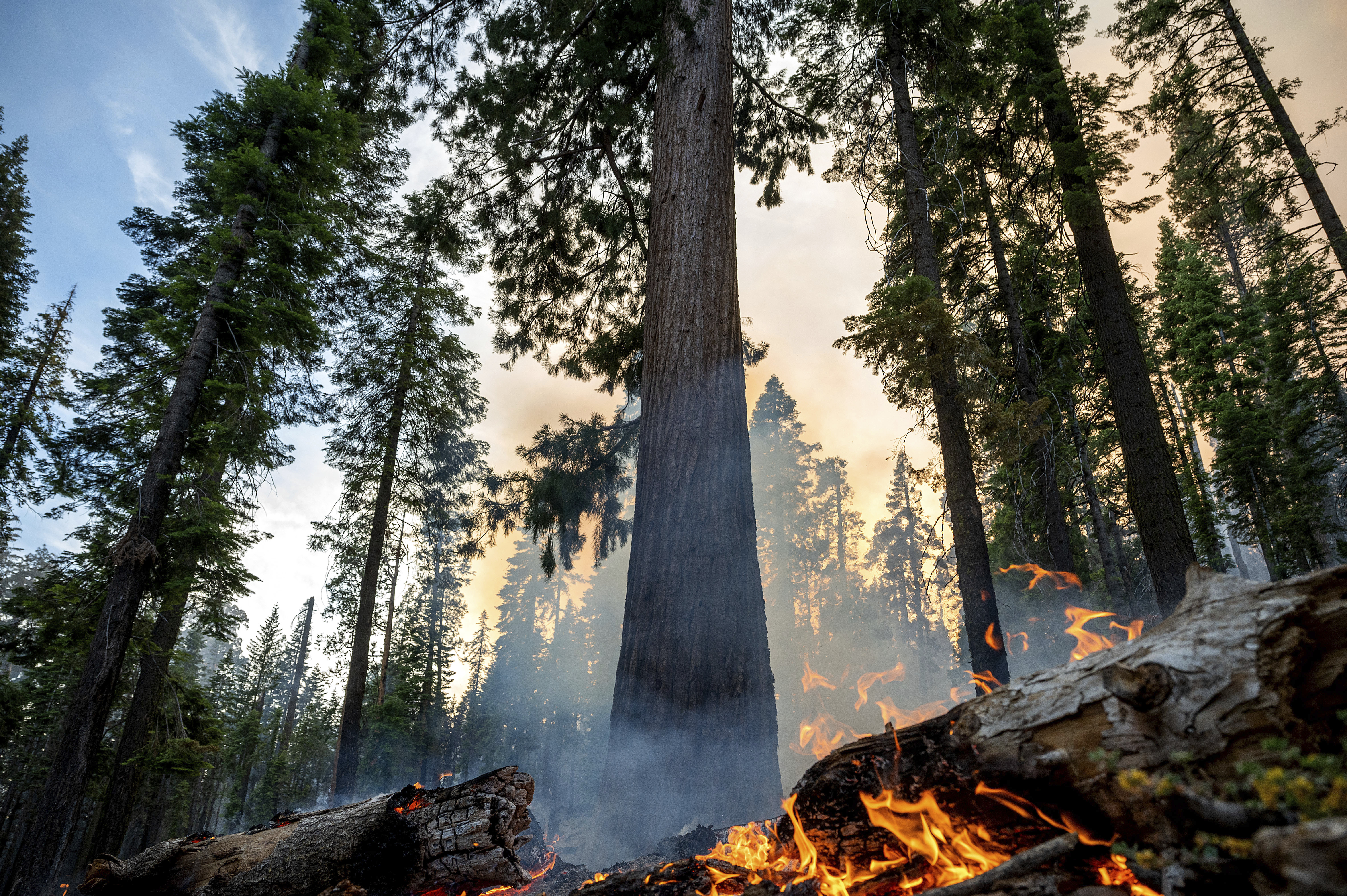 How the Washburn fire could affect your Yosemite visit - Vimarsana News