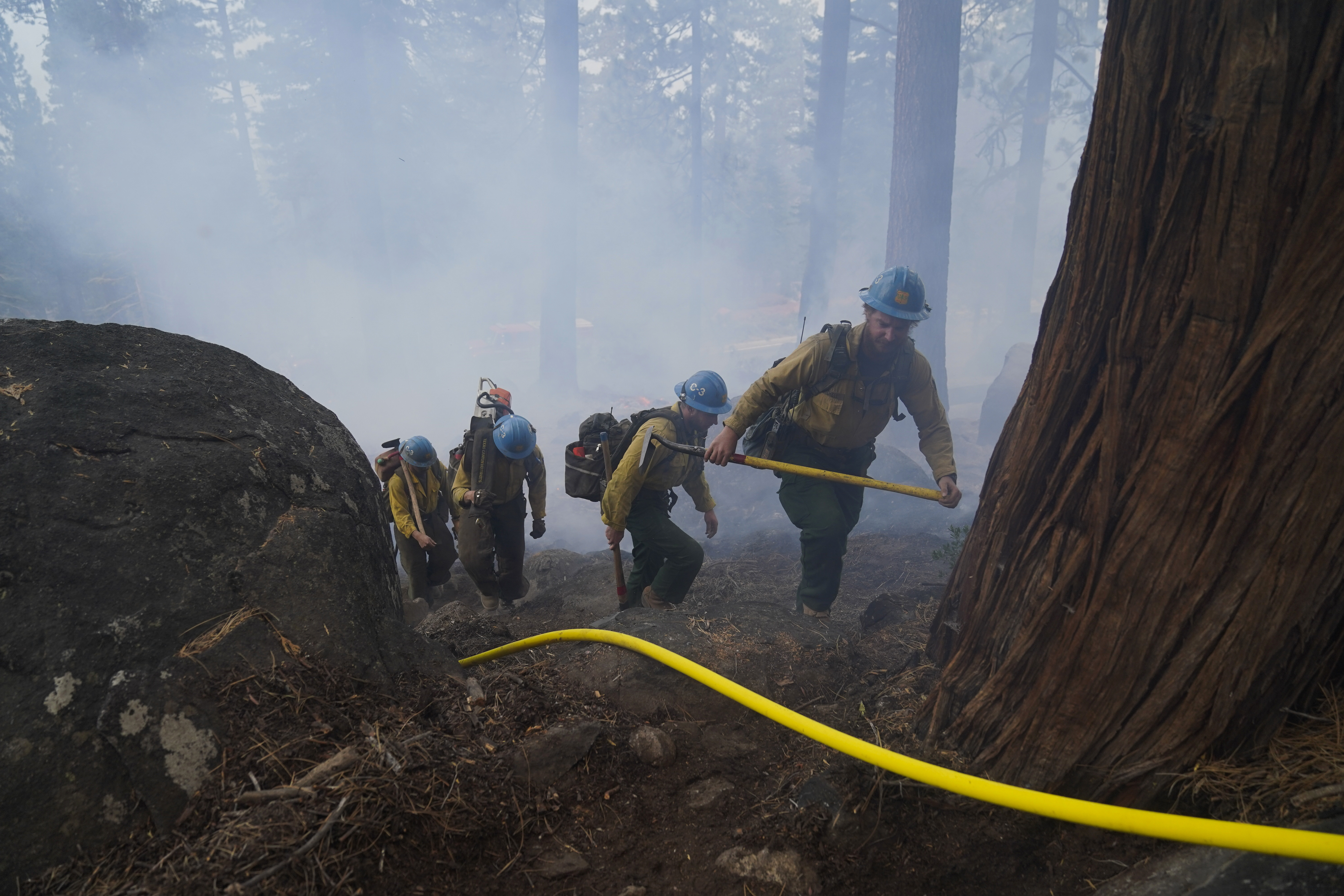 U.S. Forest Service firefighters face a morale crisis - Vimarsana News