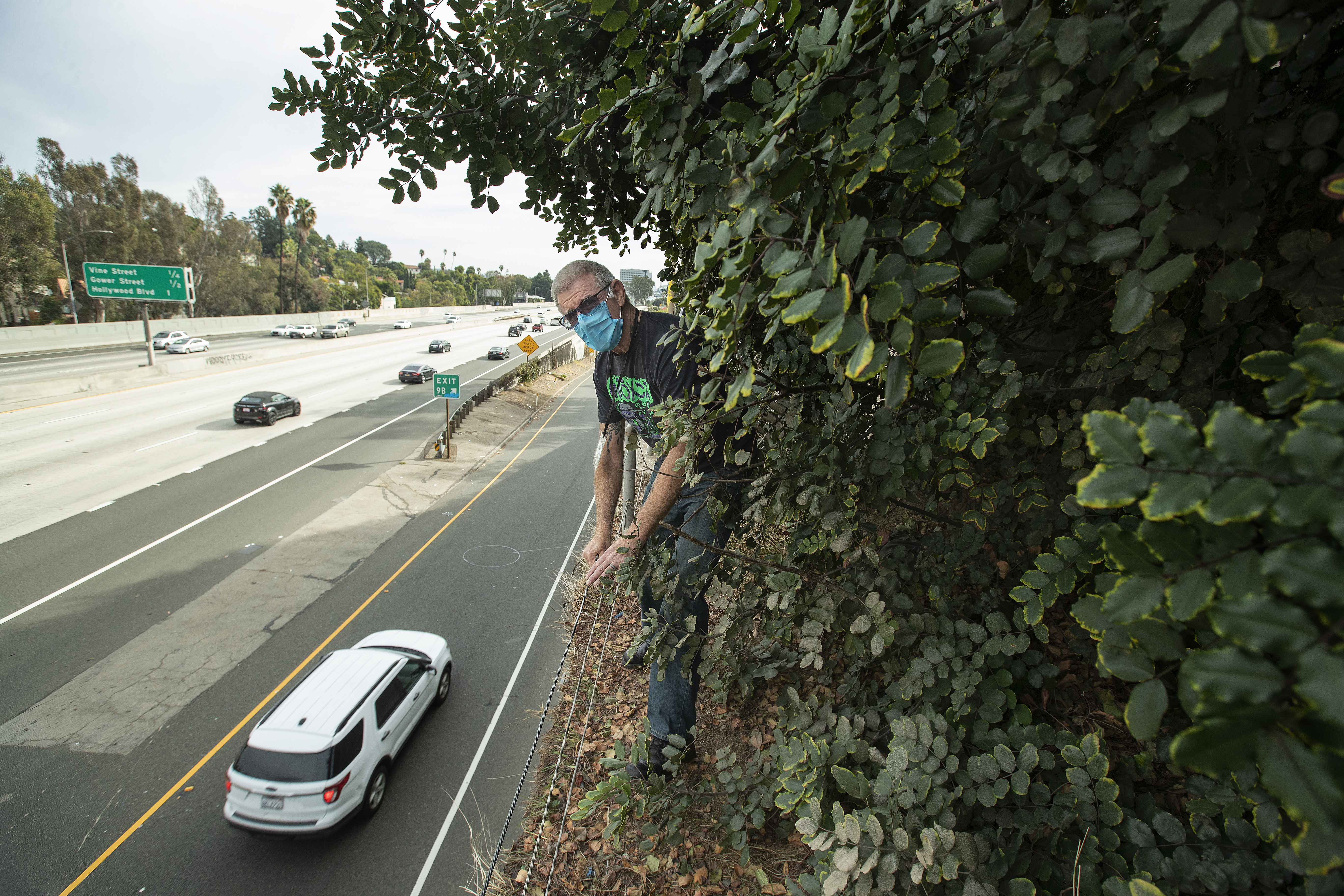 L.A. case managers work to keep drug users healthier, safer and free - Vimarsana News