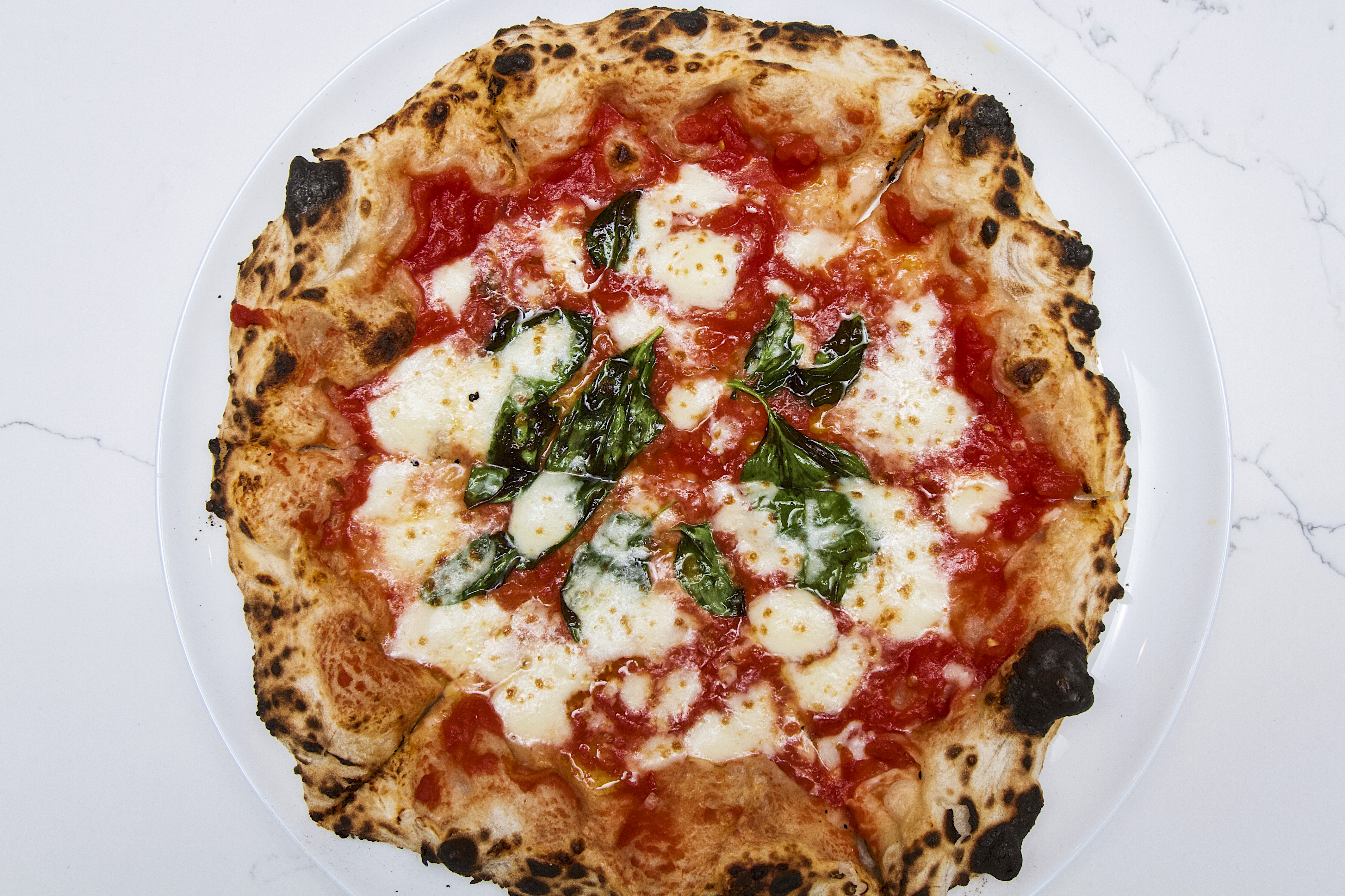 Pizzeria Sei, from a Providence, Ronan and Pizzana vet, opens in Pico-Robertson - Vimarsana News