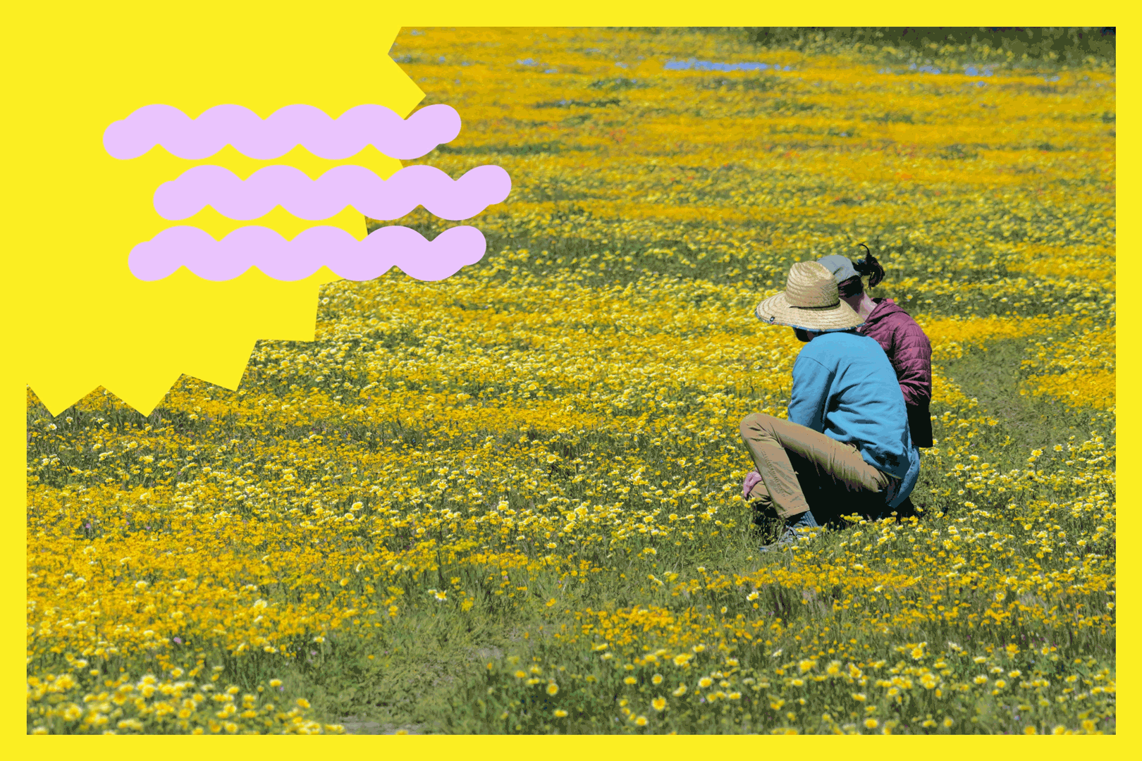 Improve your hike by going slow. Here's how to get started - Vimarsana News