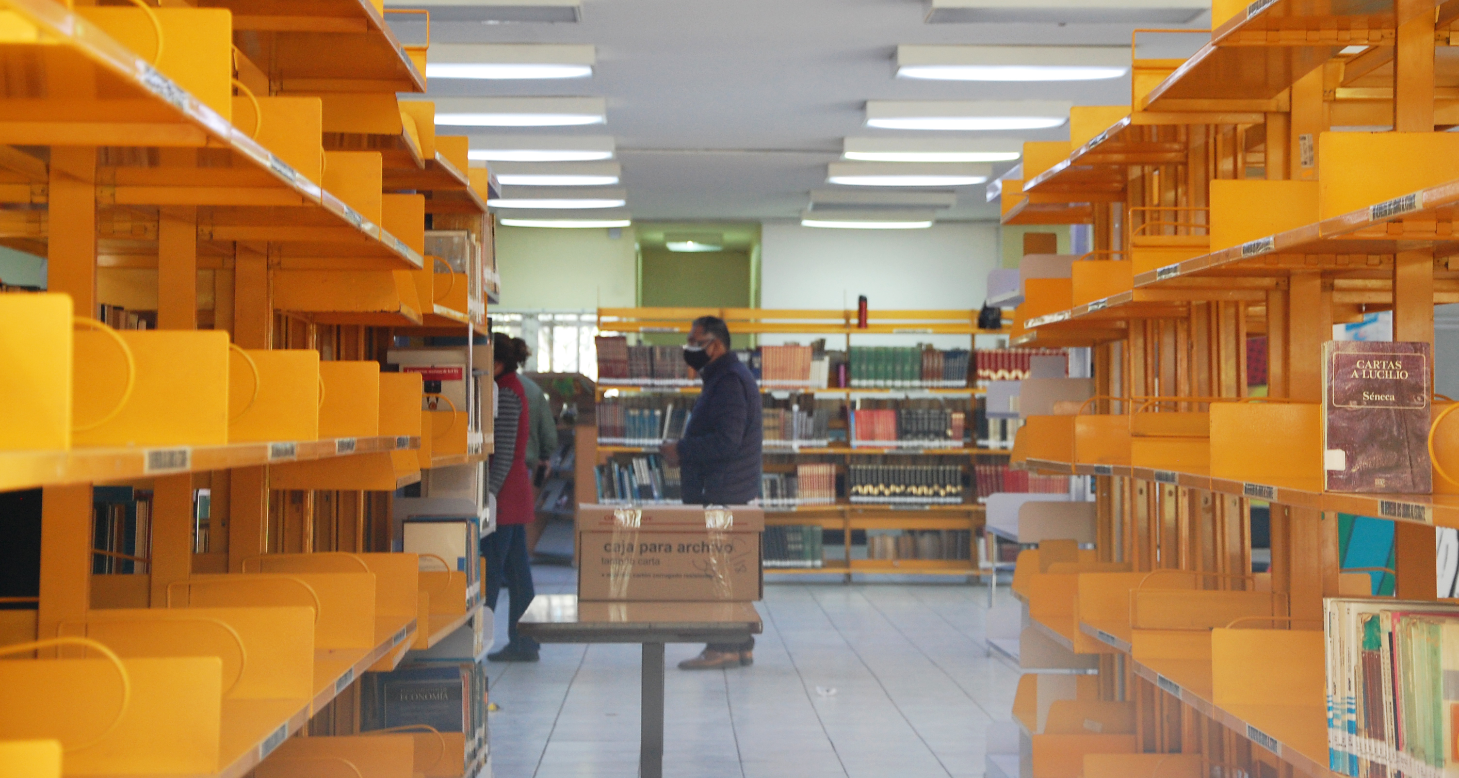 Baja California government dismantles library in Tijuana, sparks discontent - Vimarsana News