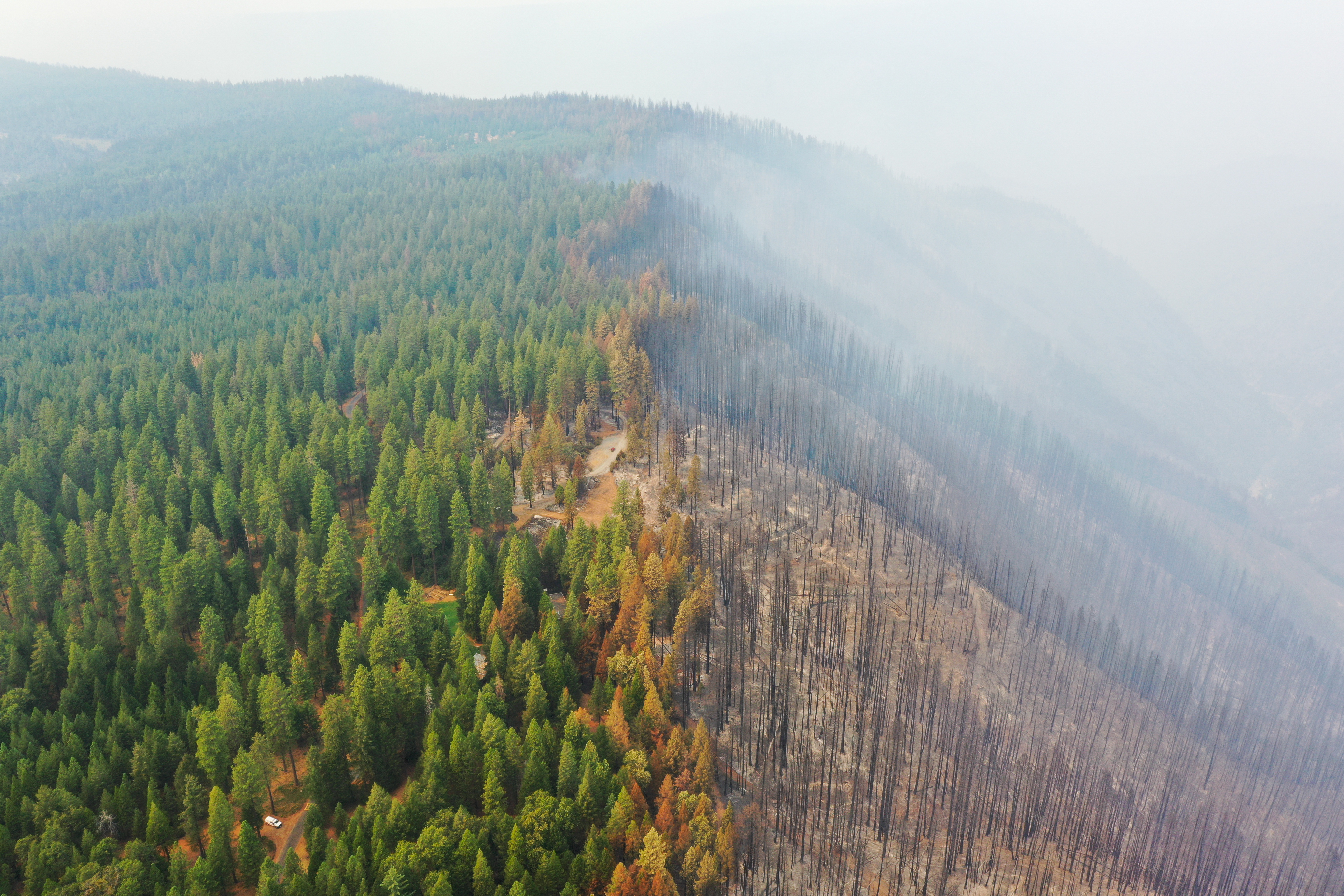Mosquito fire nears 50,000 acres west of Tahoe - The San Diego Union-Tribune - Vimarsana News