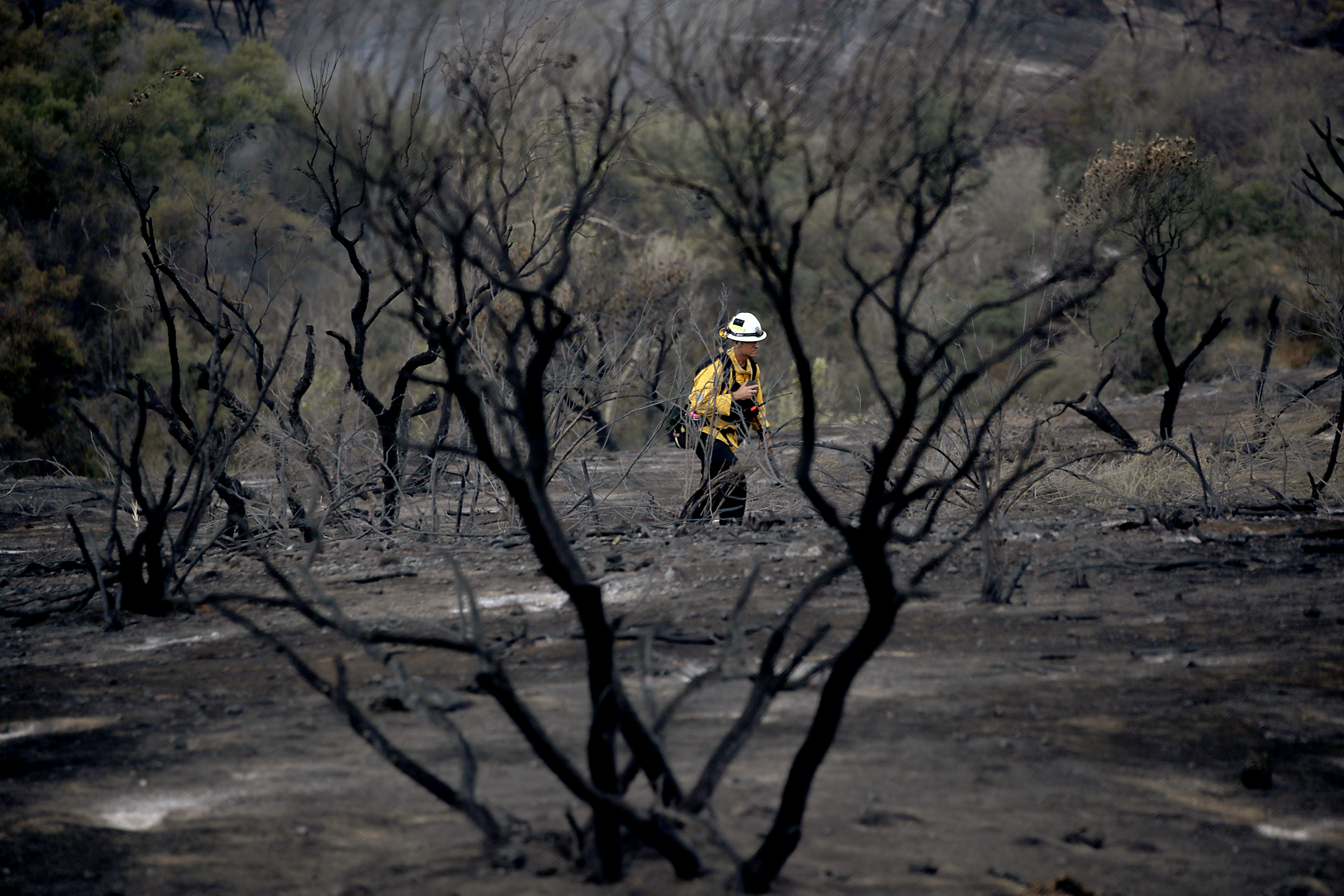 Climate change 'rapidly accelerating' in California - Vimarsana News