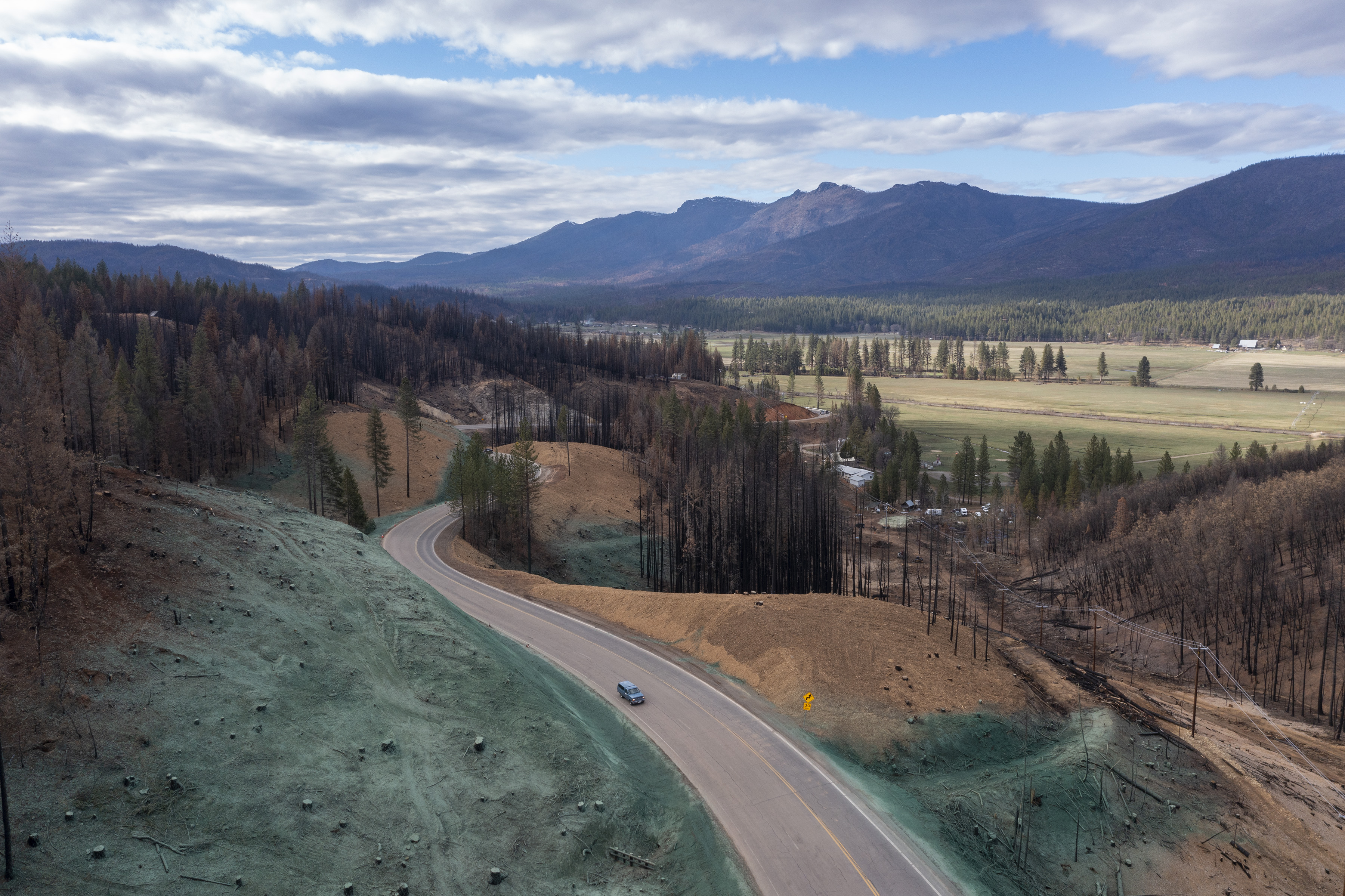 California forests are vanishing as wildfires worsen - Vimarsana News