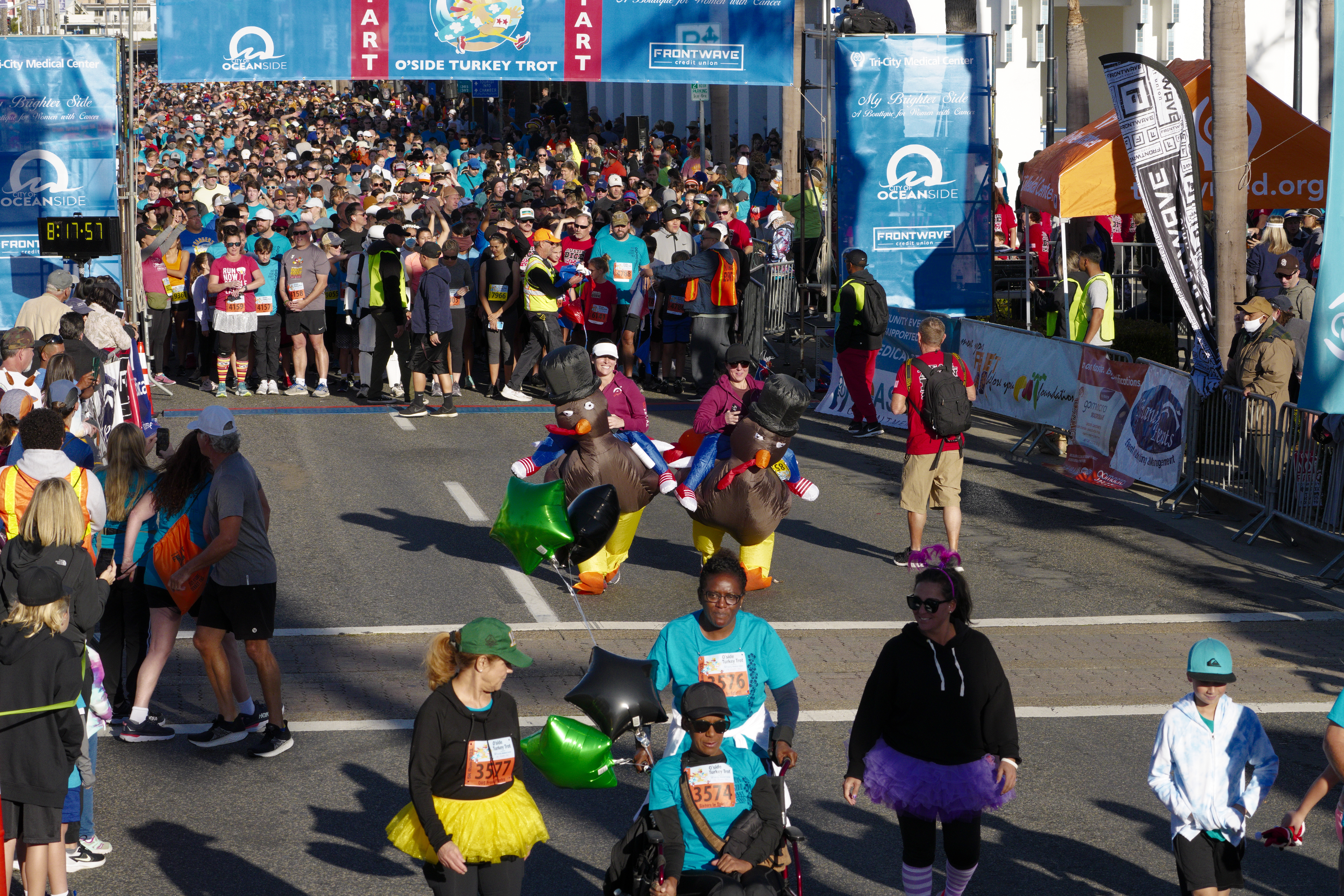 Trotting turkeys meet the surf in Oceanside on Thanksgiving - Vimarsana News