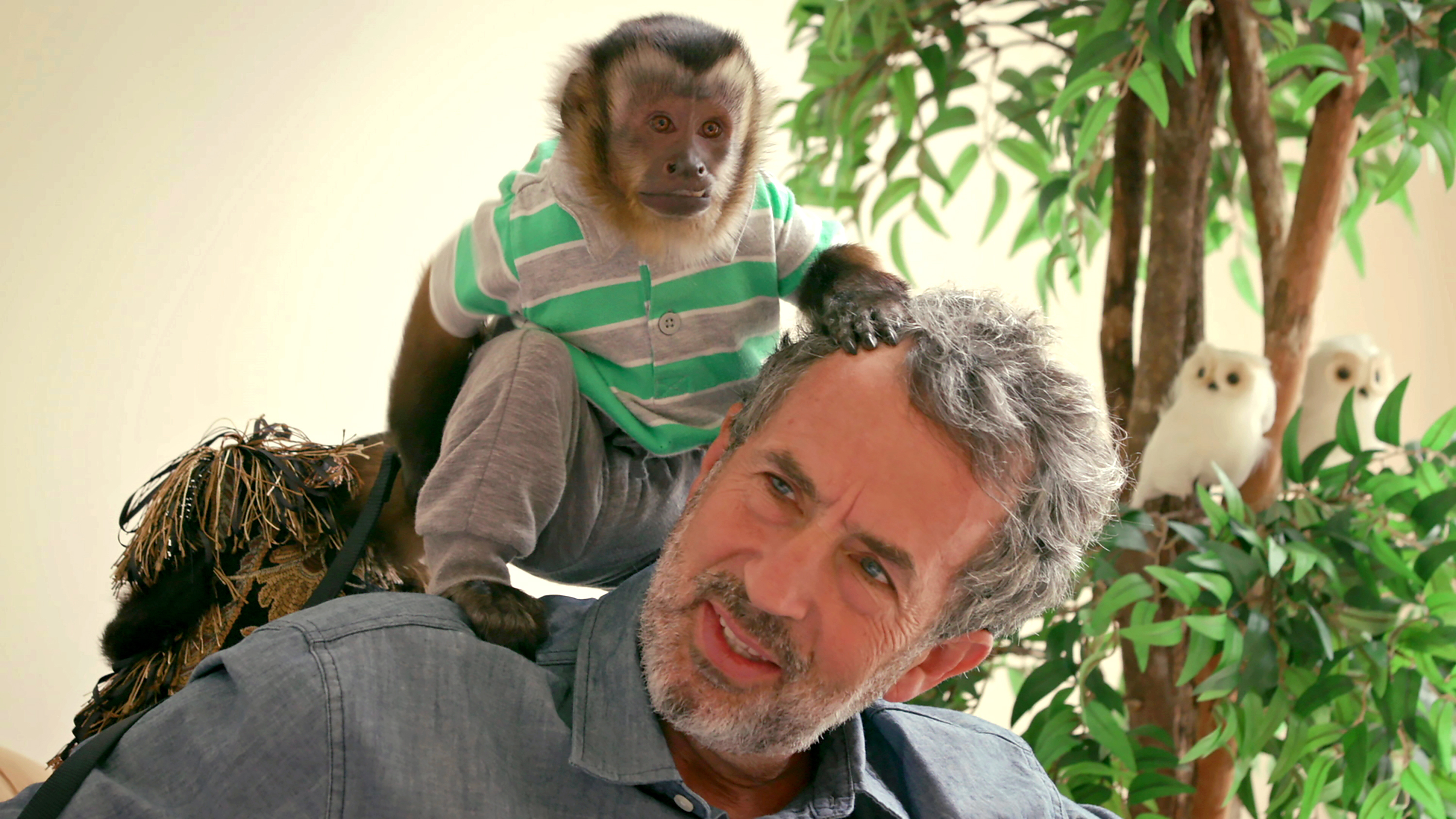 For 'Chimp Crazy' director Eric Goode, 'the end justifies the means'