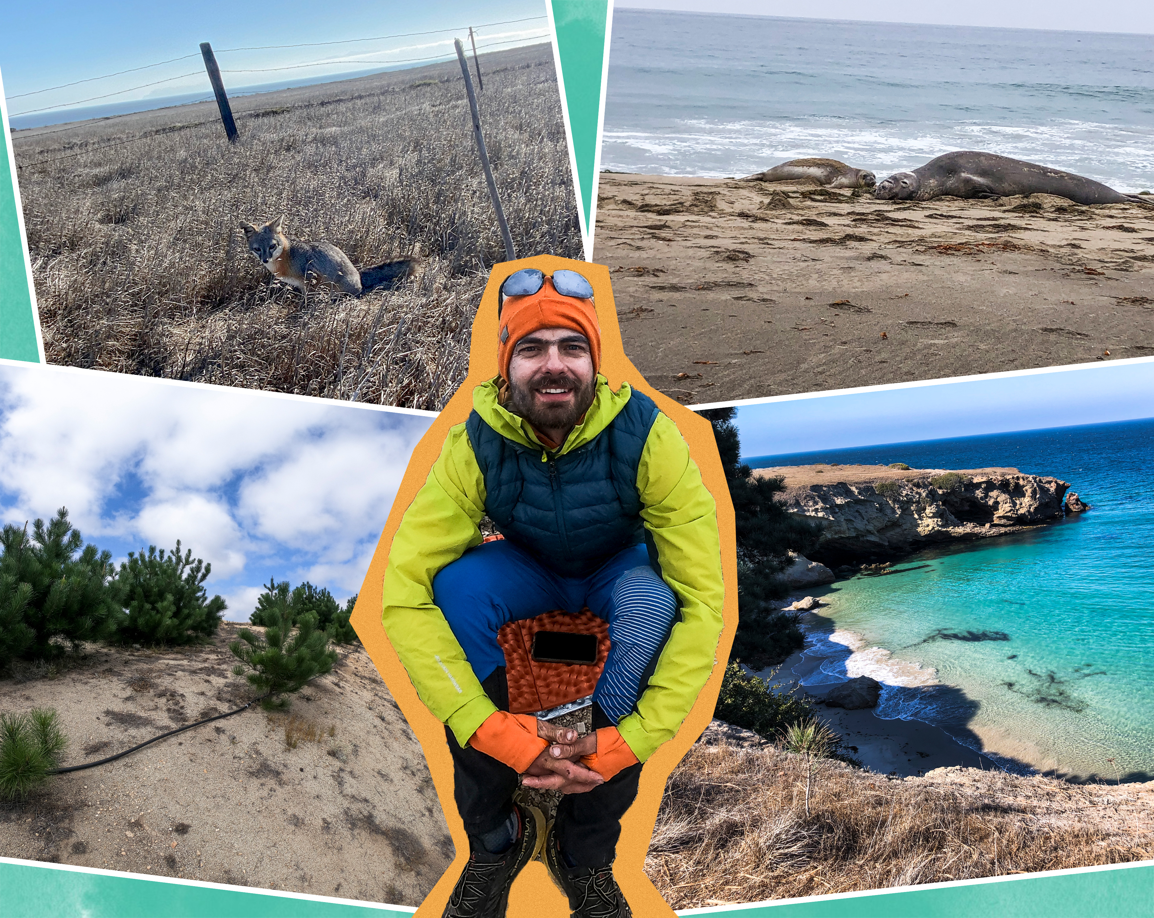 California fall activity ideas: Channel Islands, redwoods and more - Vimarsana News