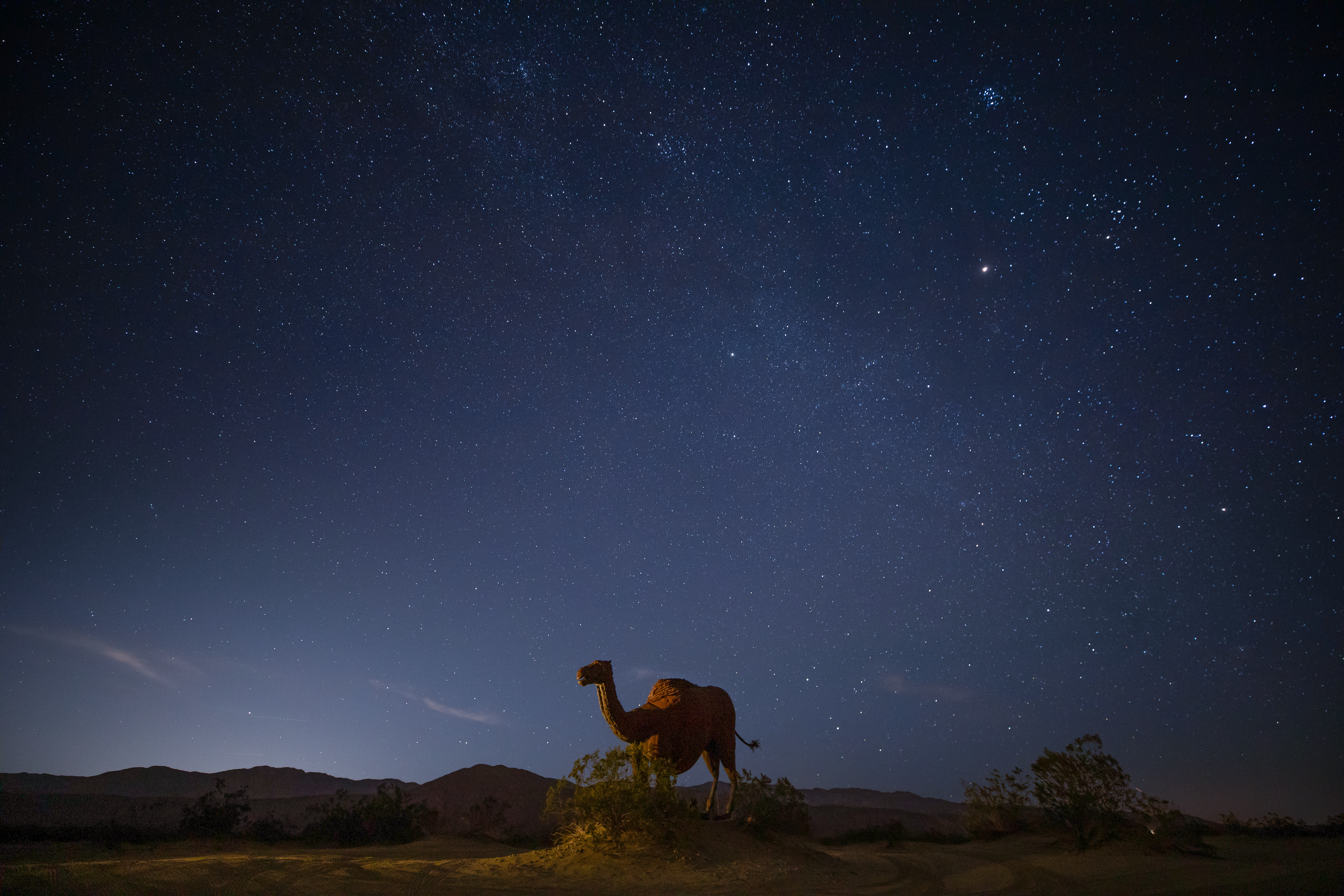 Borrego Springs travel: Hiking, stargazing, metal sculptures - Vimarsana News