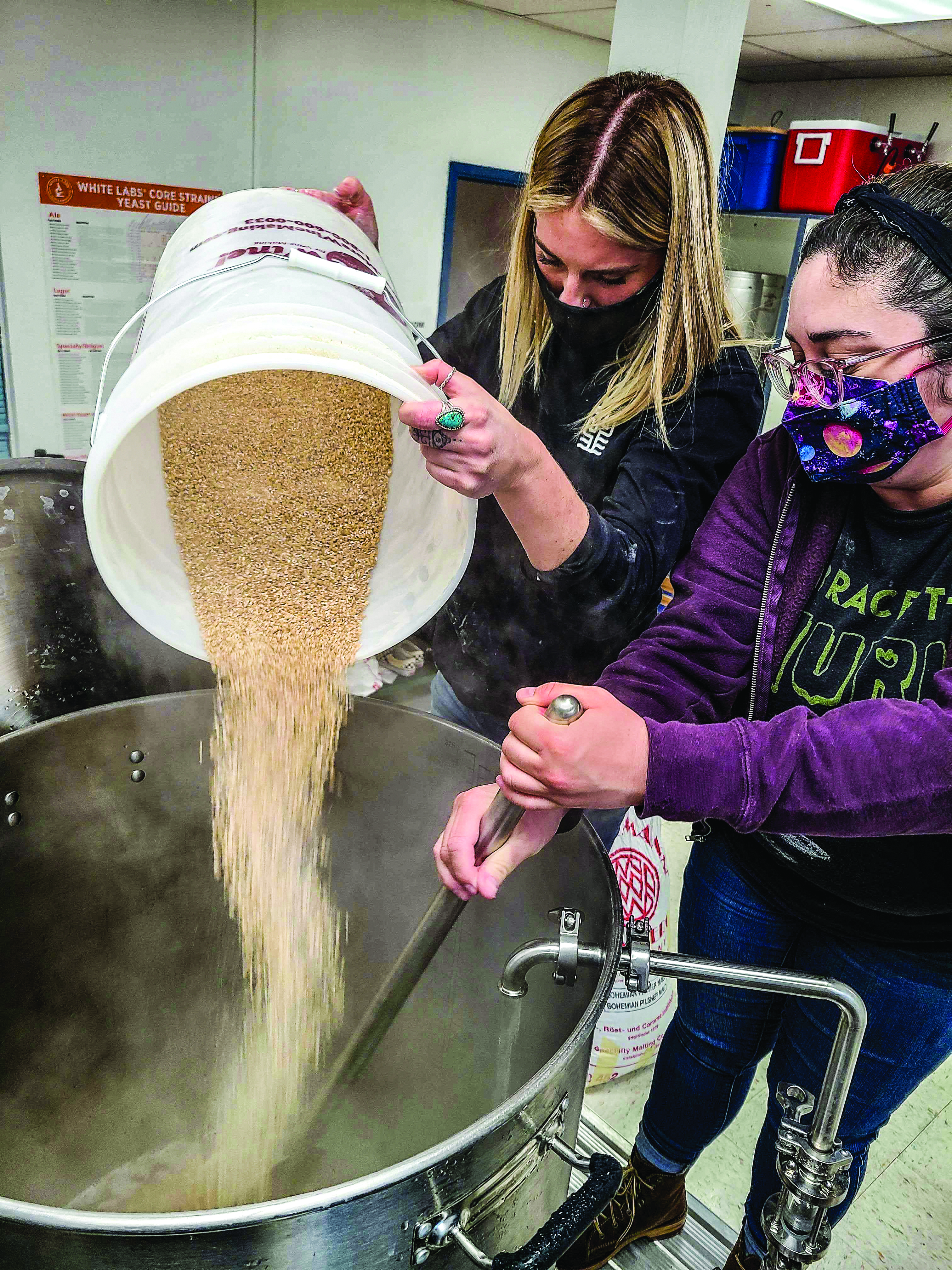 Brewery Rowe: Back to (beer) school: At MiraCosta, it's from grain to glass - Vimarsana News
