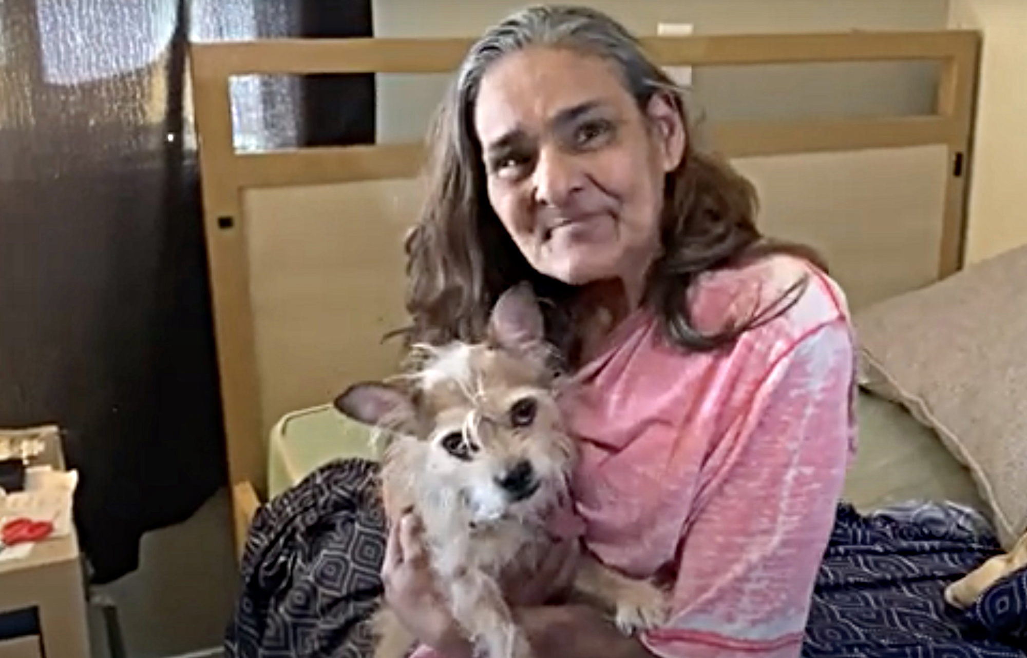 Hit-and-run victim reunited with dog after downtown L.A. crash - Vimarsana News