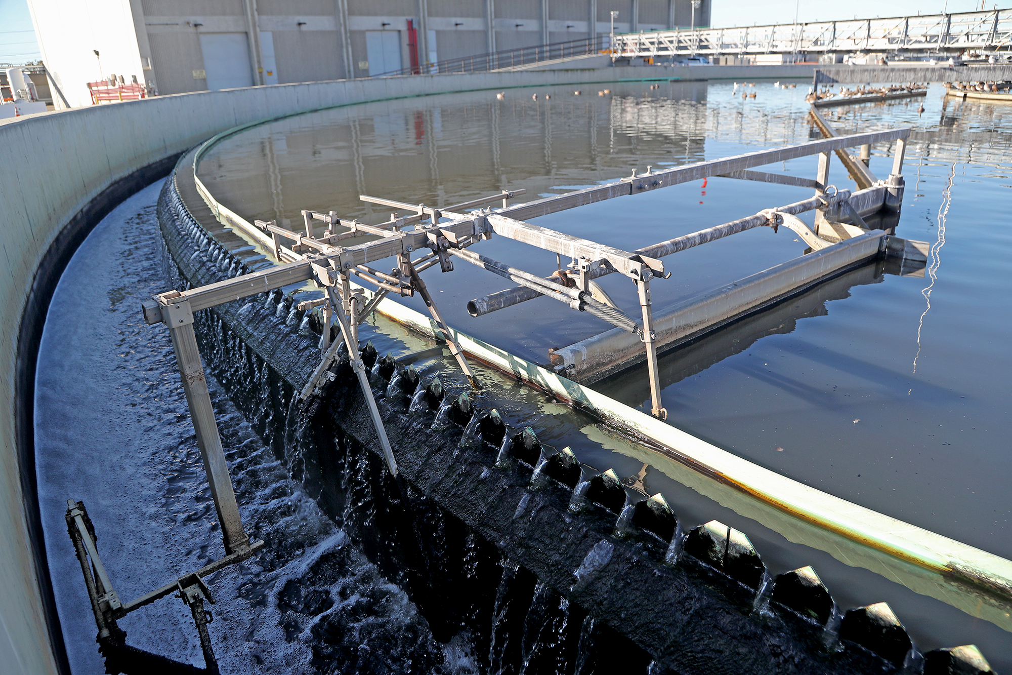 Newport Beach receives updates on groundwater replenishment system - Vimarsana News