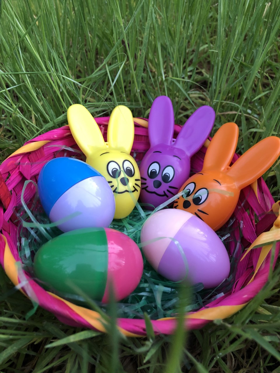 Easter egg hunting is back in person across San Diego County - The San Diego Union-Tribune - Vimarsana News