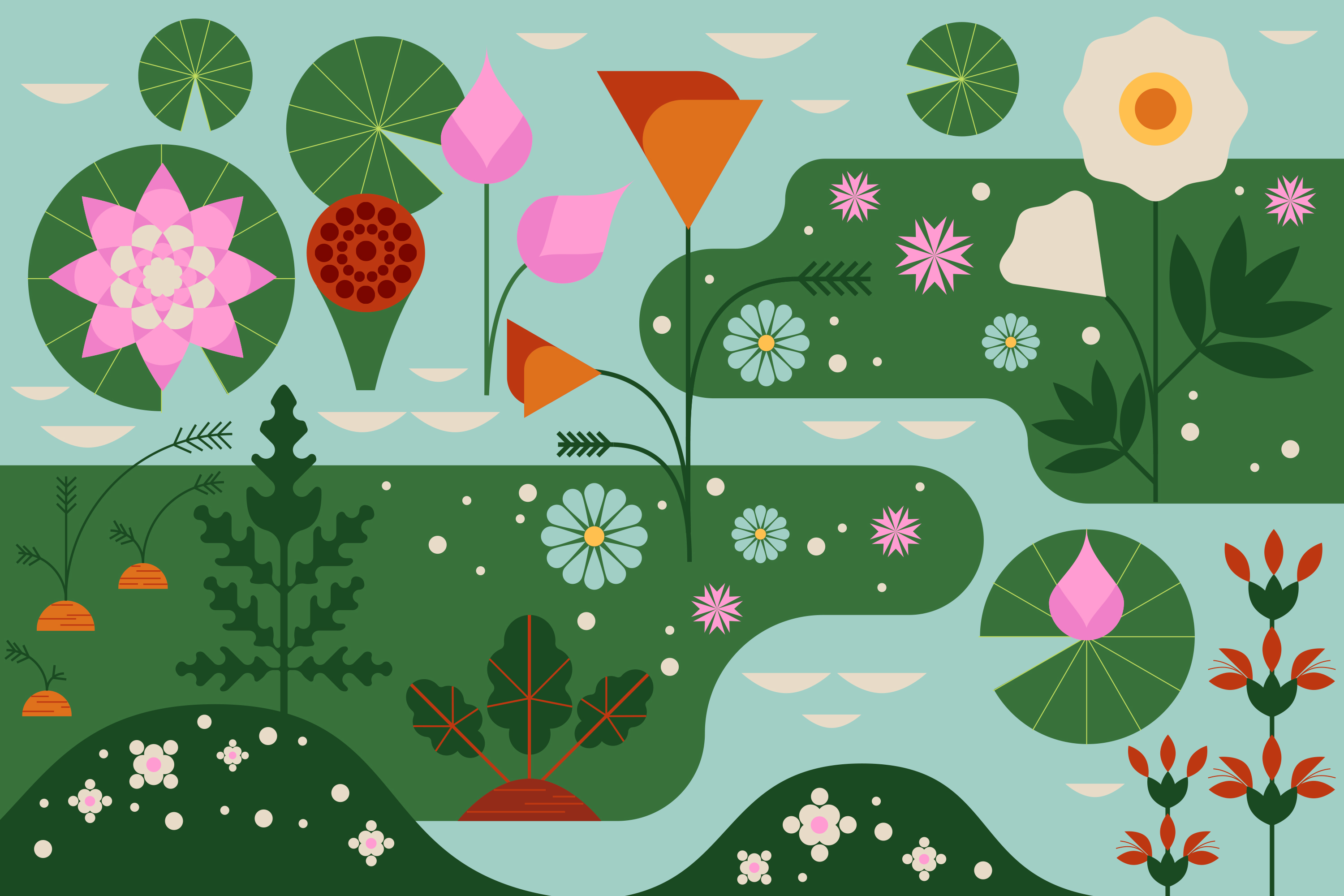 How to prepare your garden after the rain - Los Angeles Times - Vimarsana News