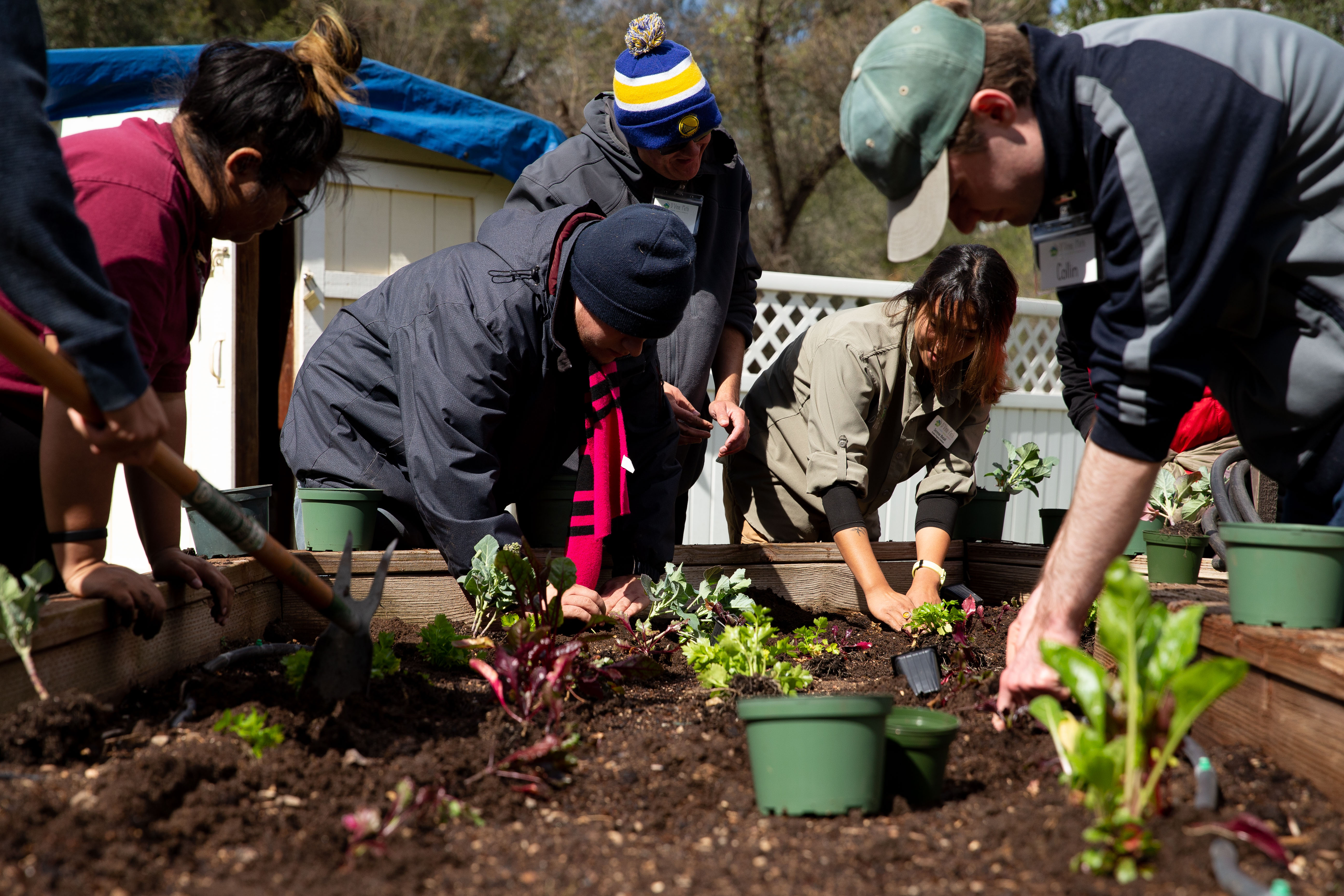 D'Vine Path program expands from Battali Ranch to film site for 'Inn Love' - Vimarsana News