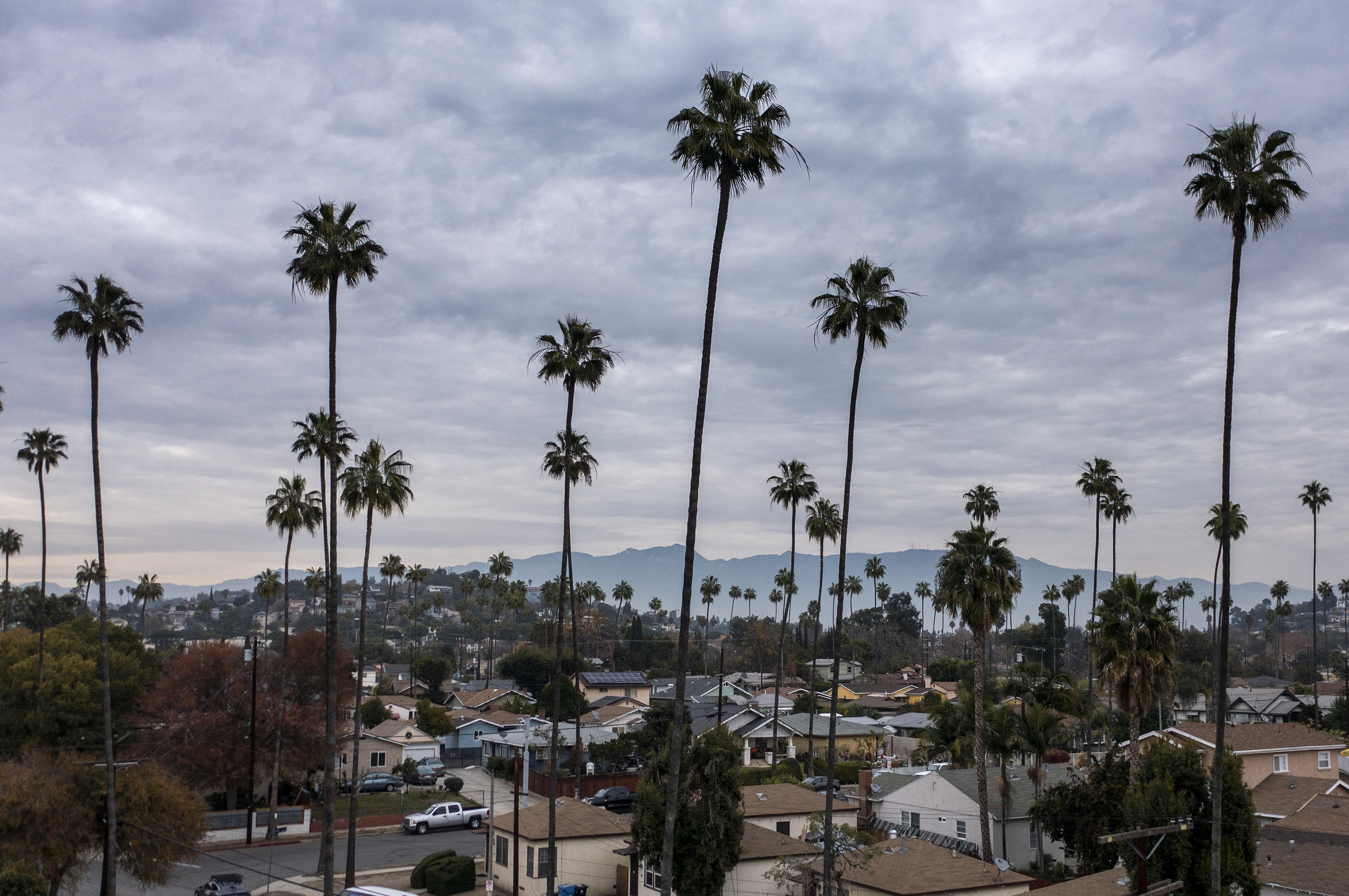 In El Sereno, homicides increase amid fears of gentrification - Vimarsana News