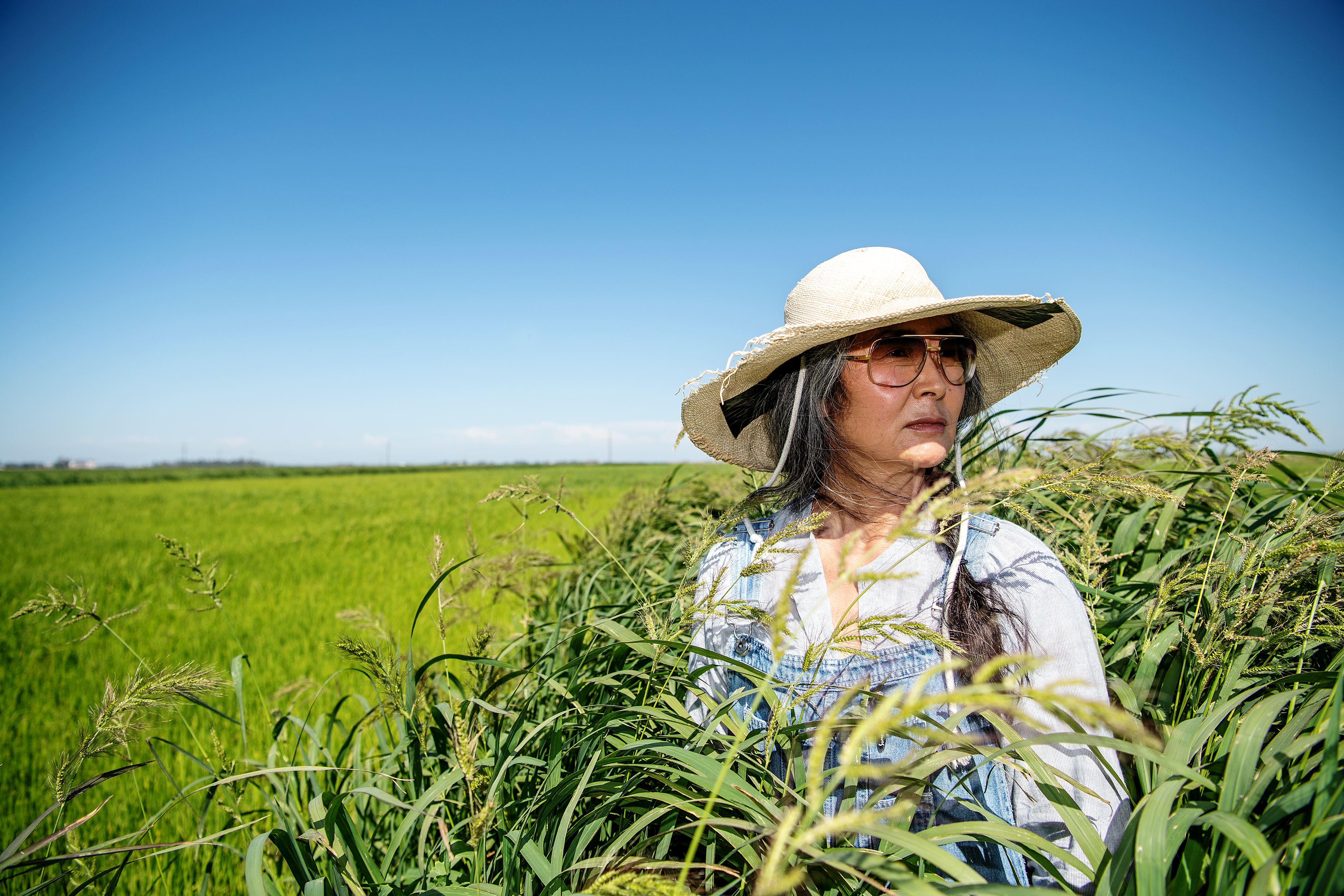 How California's Koda Farms created the perfect sushi rice - Vimarsana News