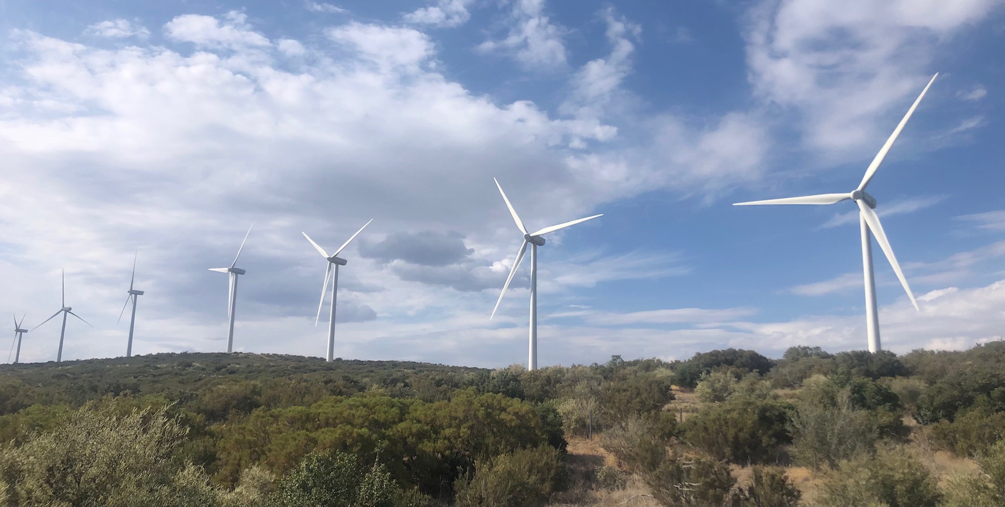 Venture capital firms form pact to zero out greenhouse emissions - Vimarsana News