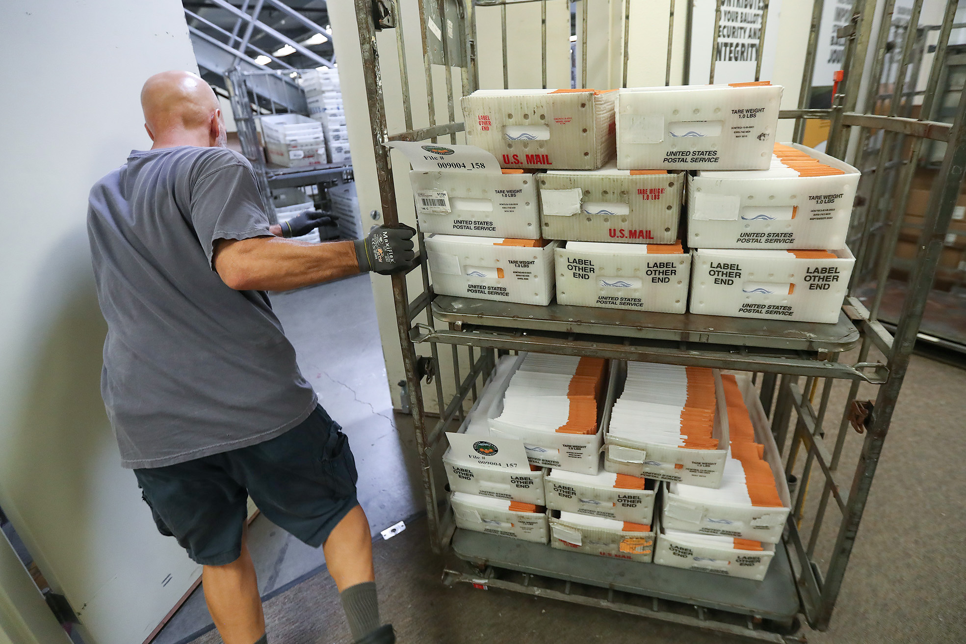 Orange County sees 16.5% more registered voters — so far — than in last midterms - Vimarsana News
