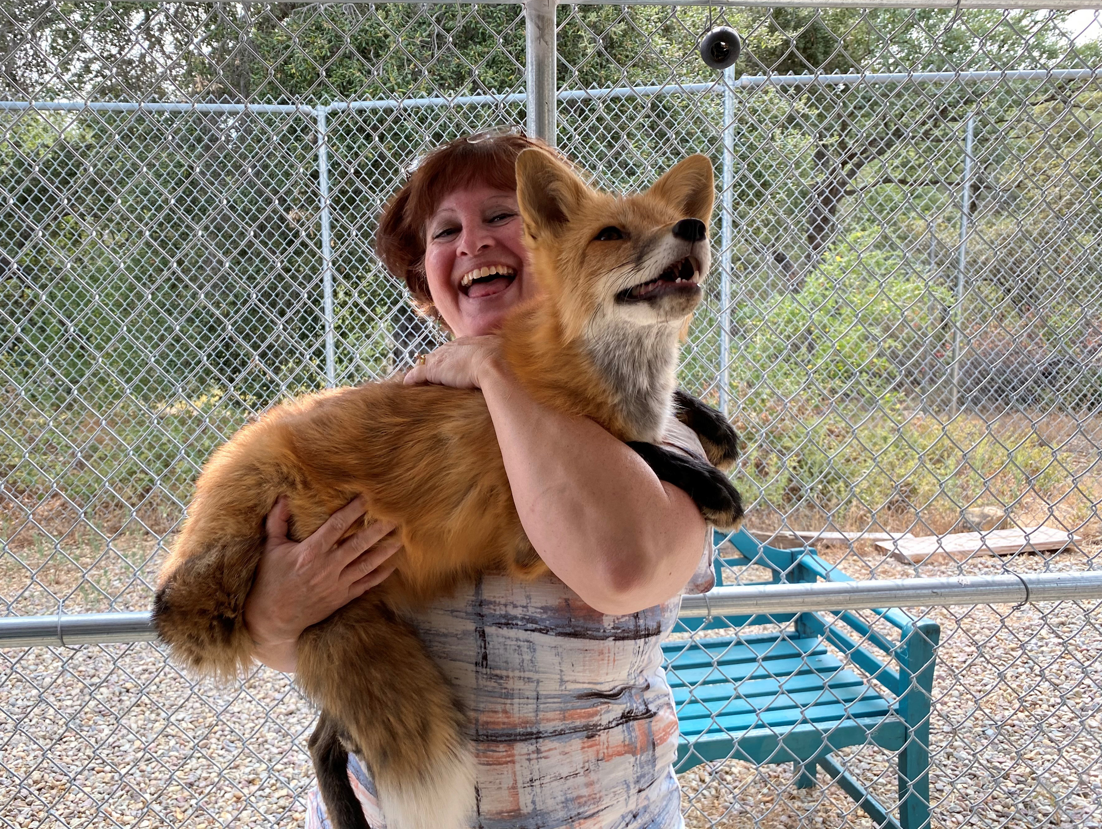 New YouTube channel spotlights stories, struggles at local animal sanctuaries - Vimarsana News