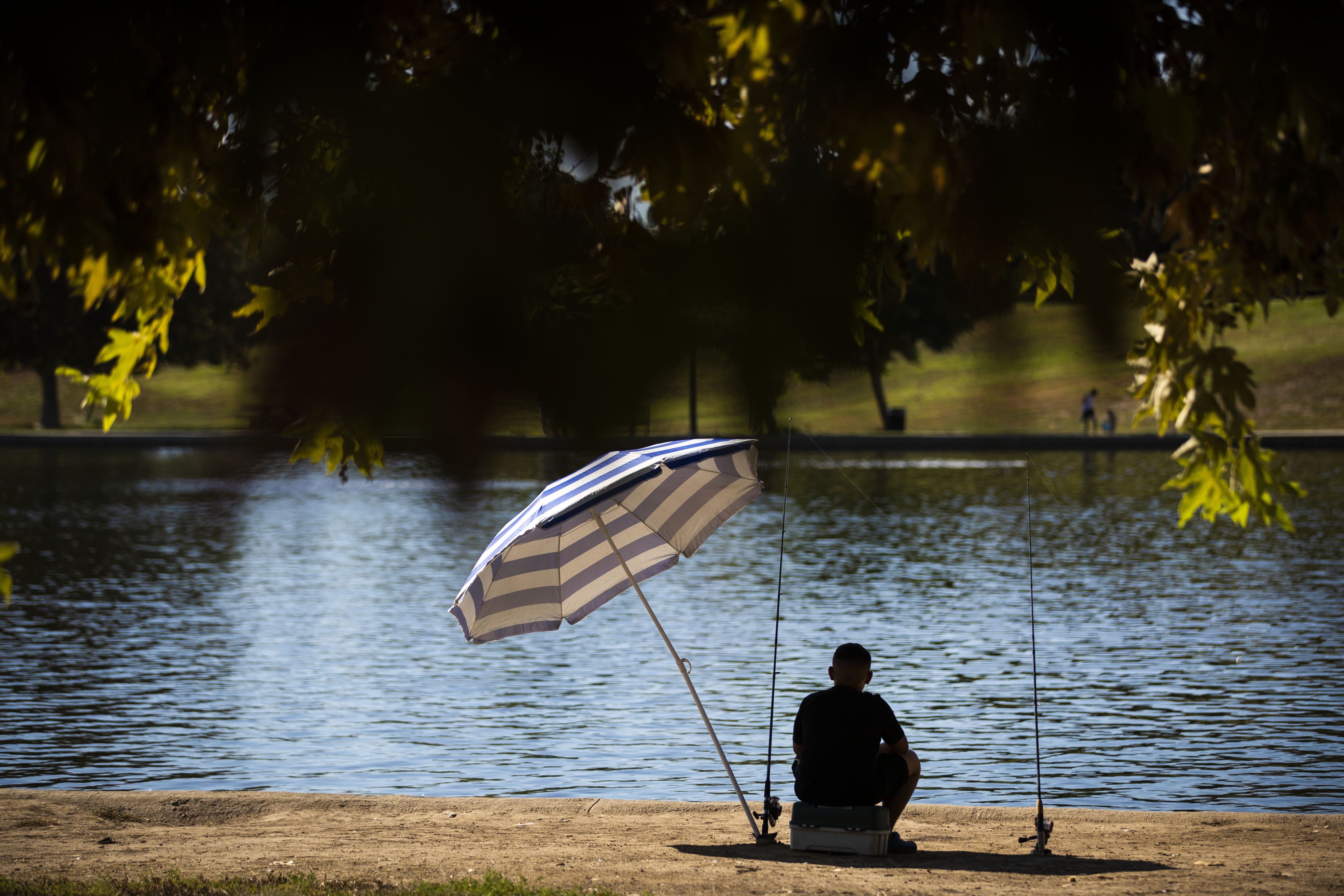 How much worse will extreme heat get in U.S. by 2050? - Vimarsana News