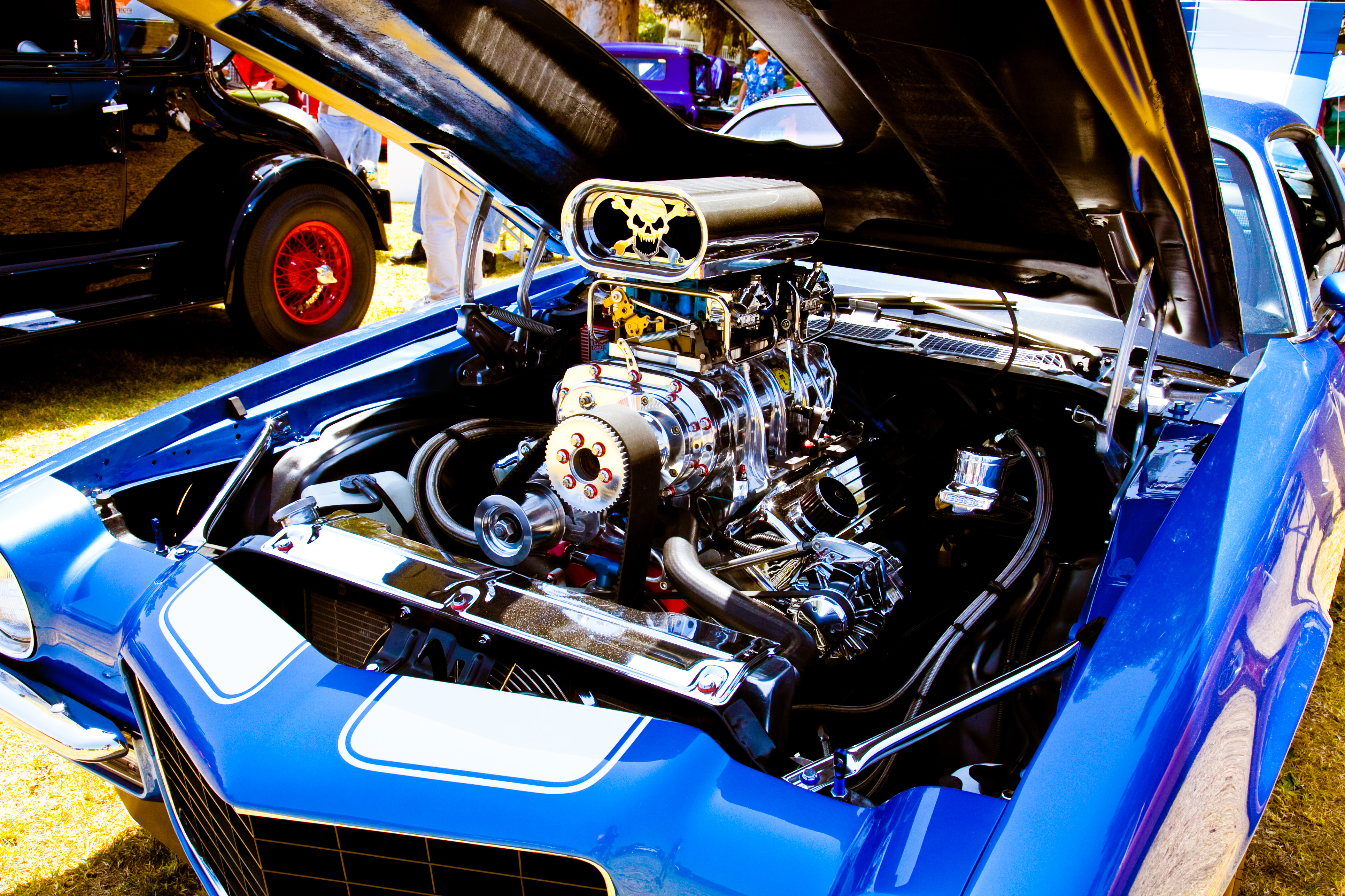 Muckenthaler Motor Car Festival is back and firing on all cylinders - Vimarsana News