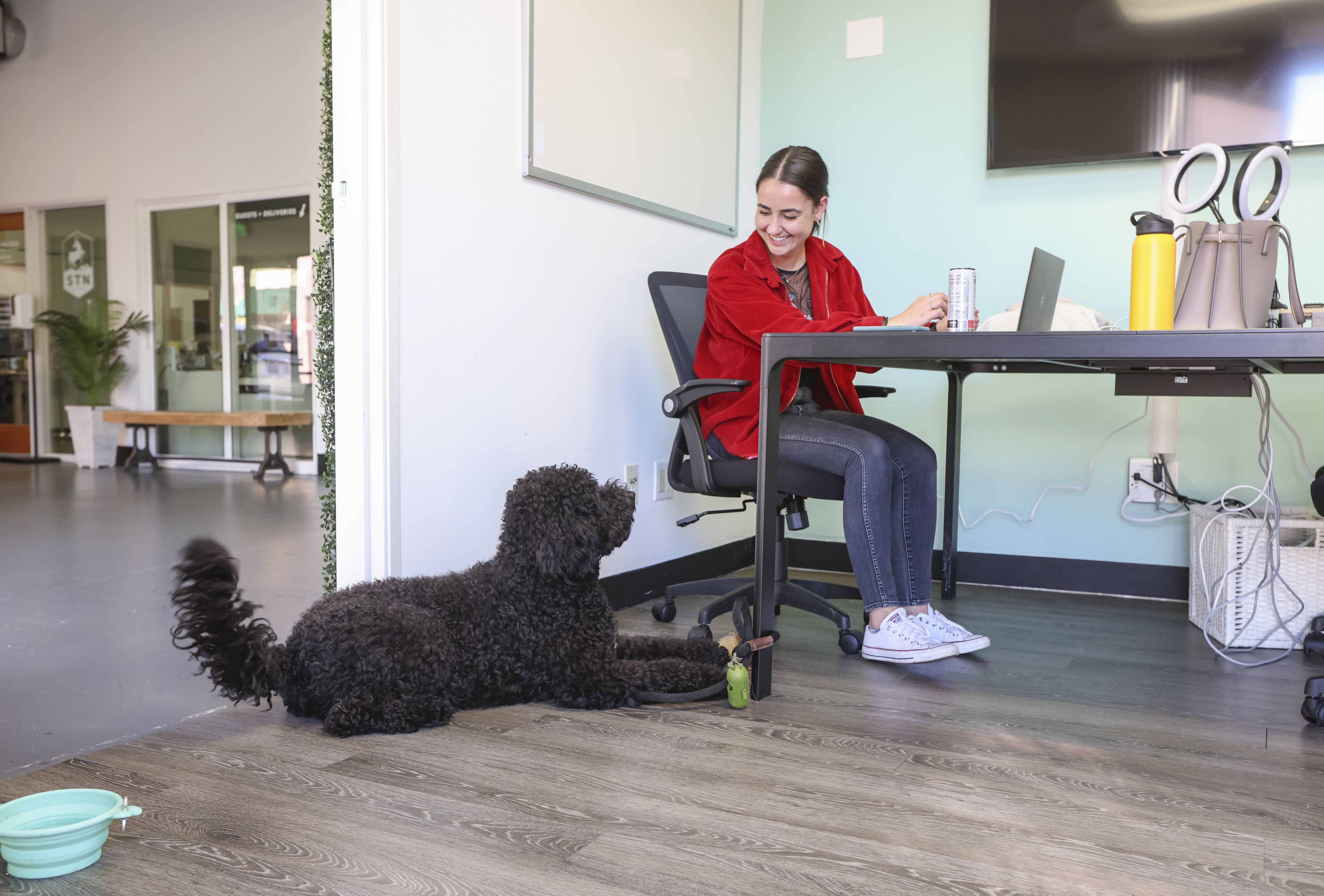 Helping workers readjust to office life with flex schedules, catered lunches and dogs - Vimarsana News