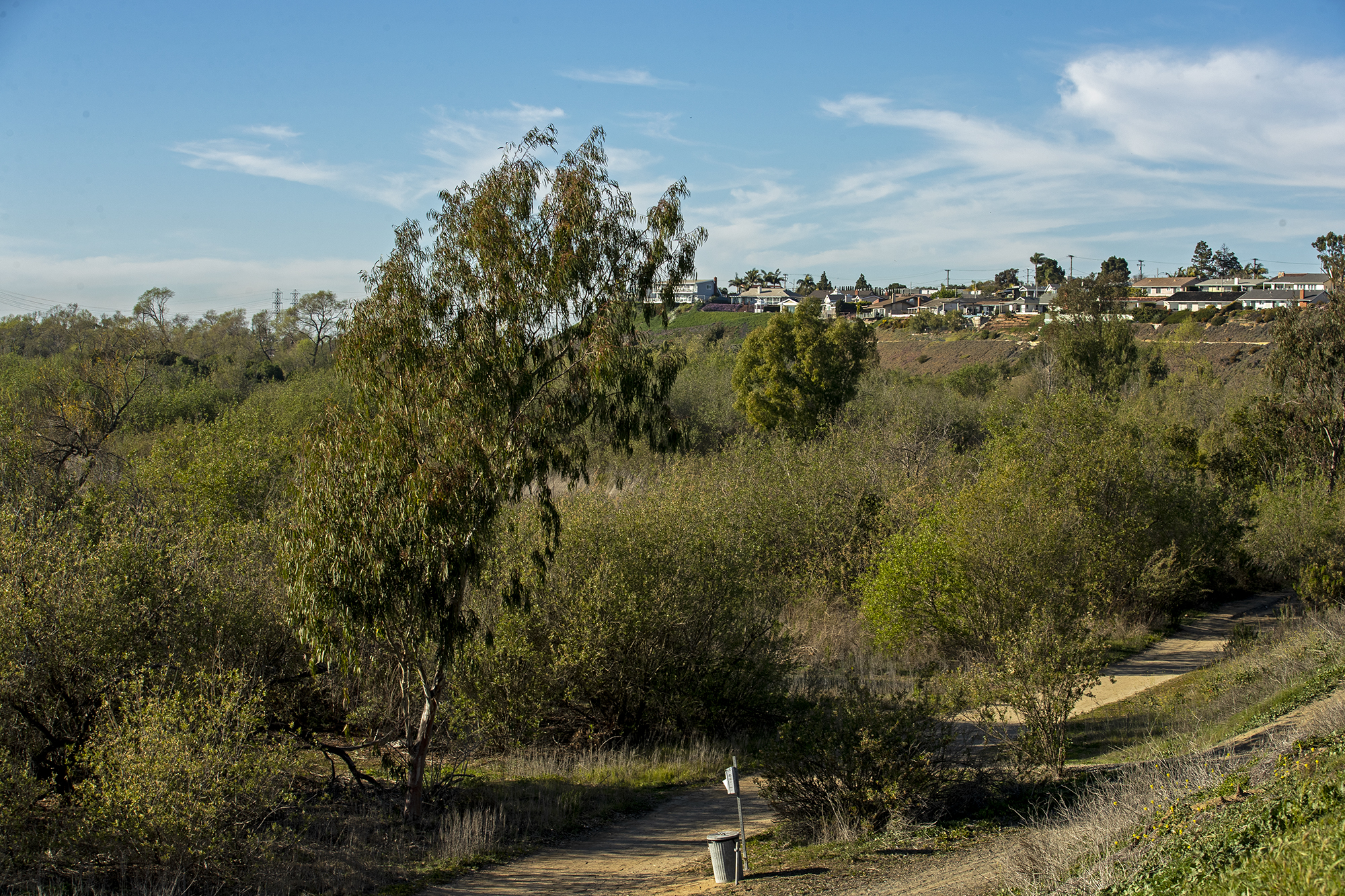 County, Costa Mesa secure $3.6M to clear Talbert Park homeless encampments - Vimarsana News