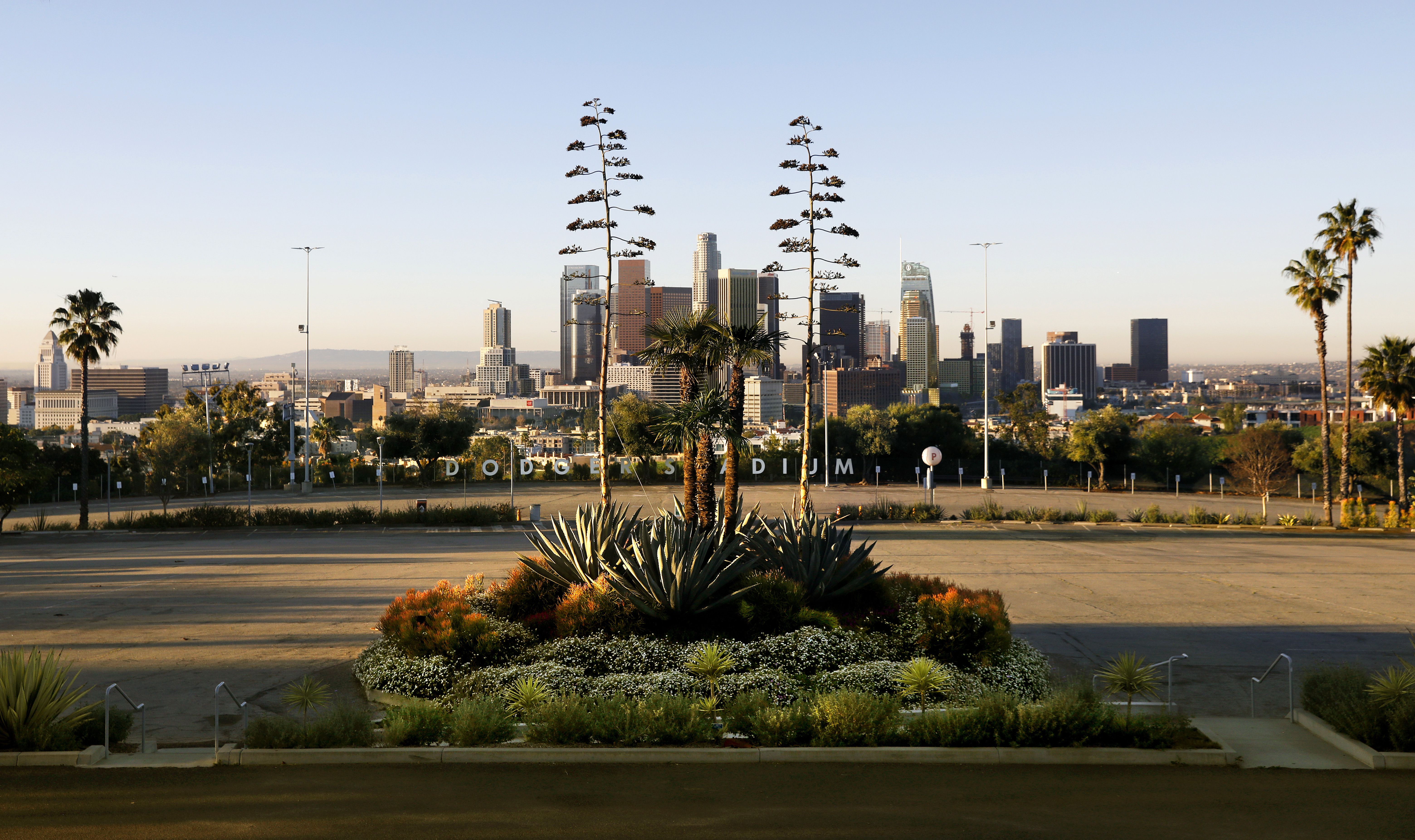 Visit Dodger Stadium's drought-tolerant botanic garden - Vimarsana News