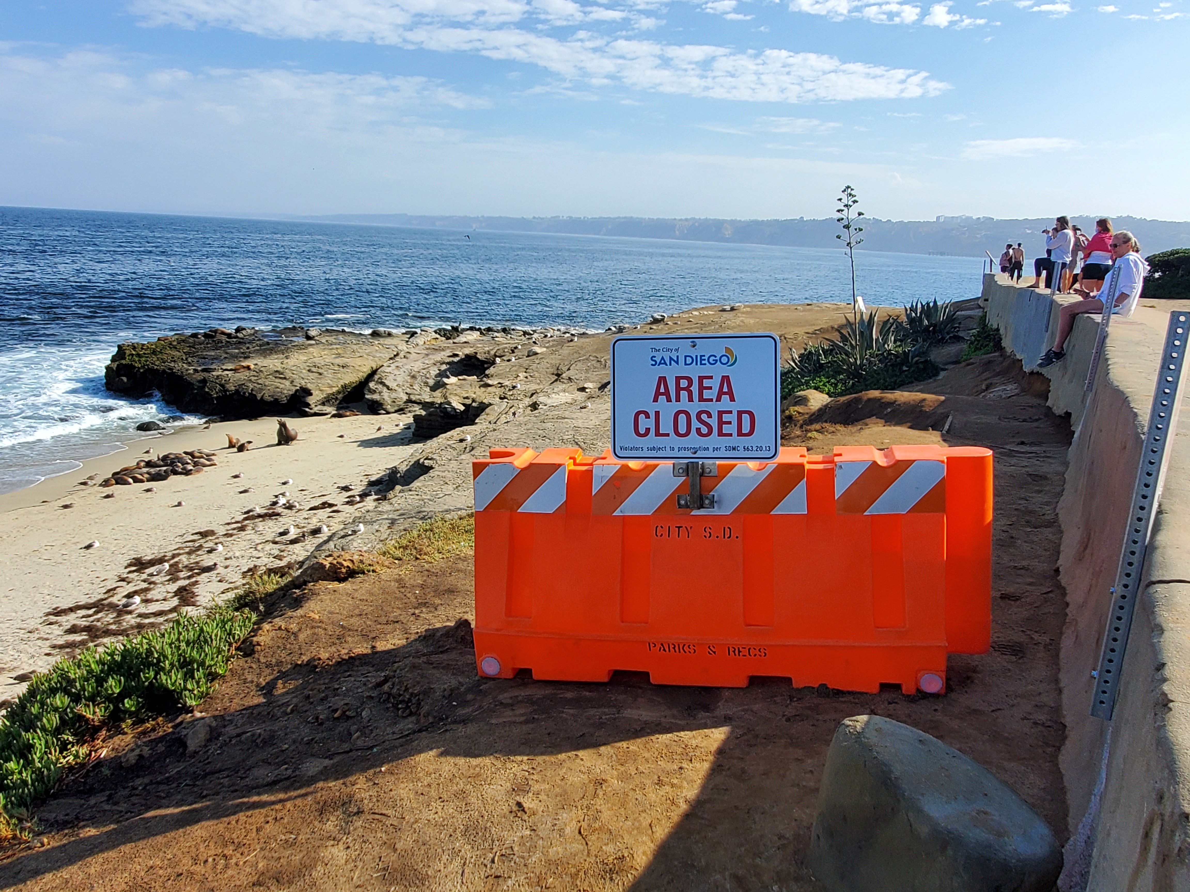 La Jolla group blasts San Diego's planned year-round Point La Jolla closure - Vimarsana News