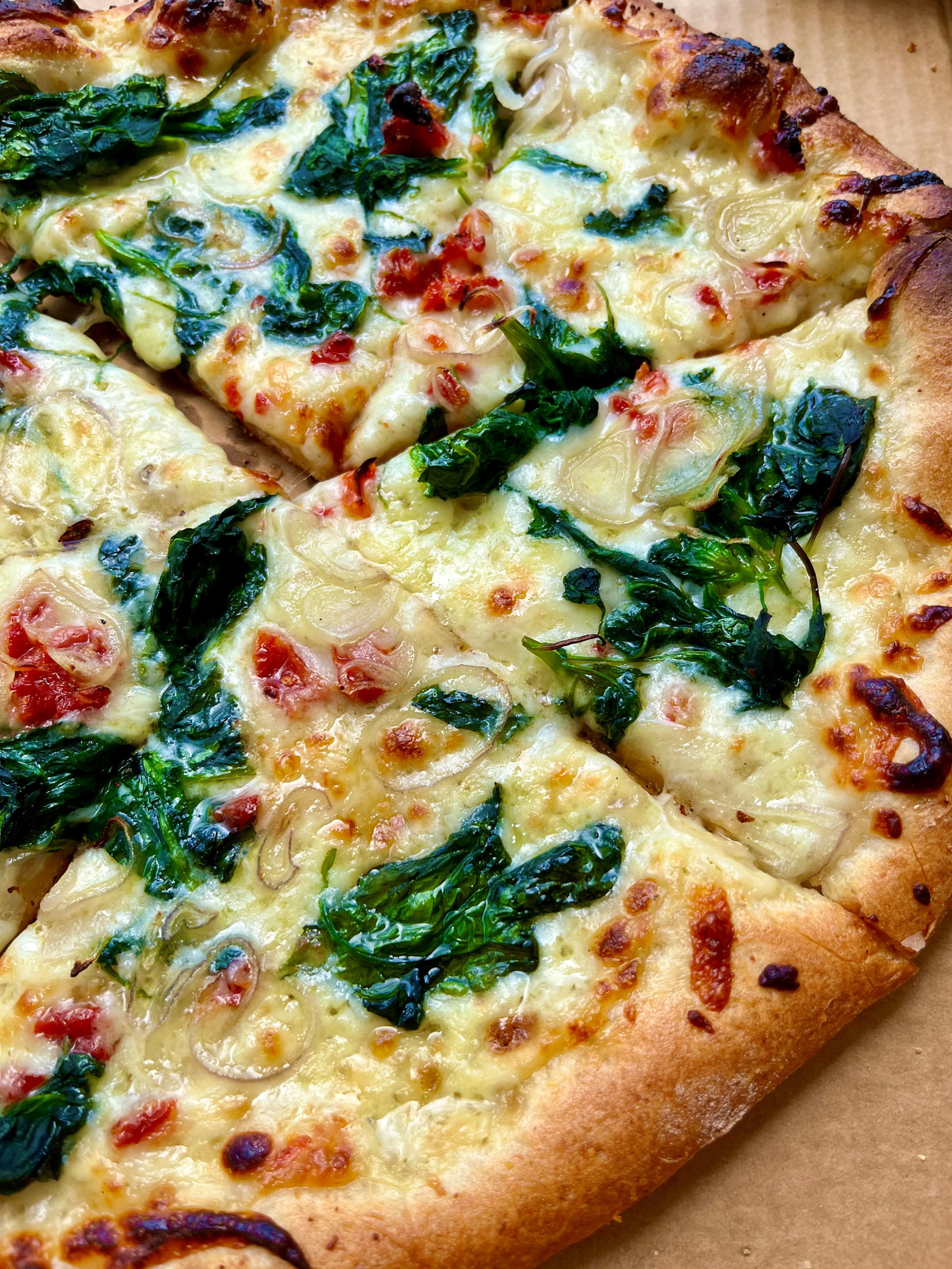 Prager Bros. returns to its earliest roots with new pizzeria in Carlsbad - Vimarsana News