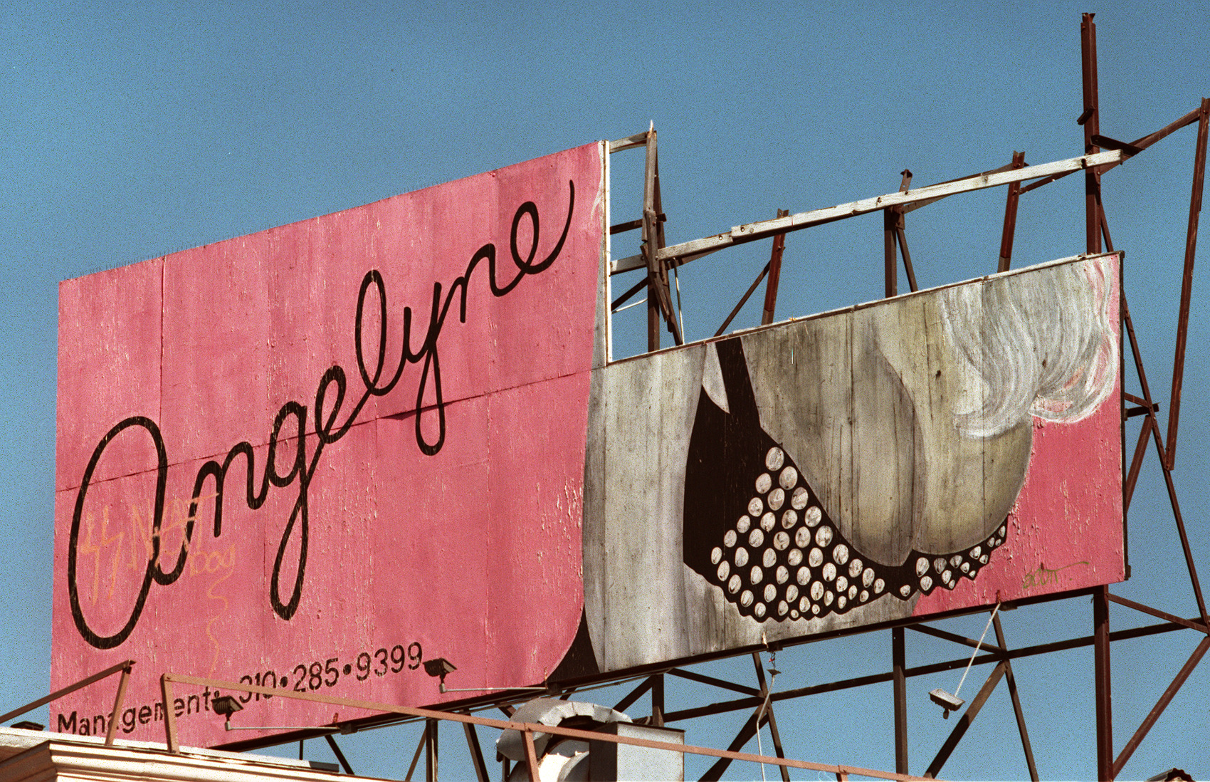 Timeline: Angelyne, from first billboard to governor's race - Vimarsana News