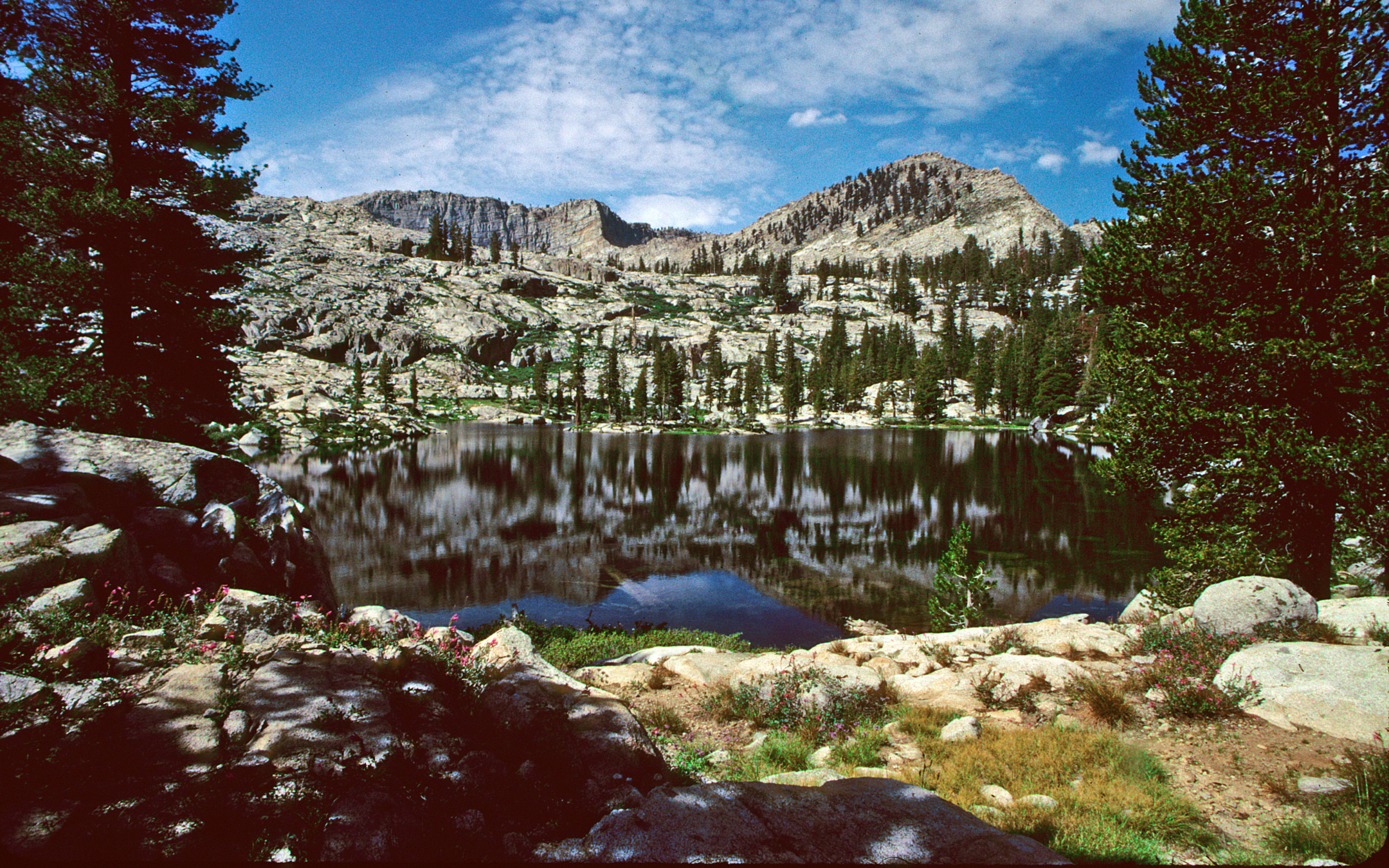 How Disney's Sierra Nevada ski resort changed environmentalism forever - Vimarsana News