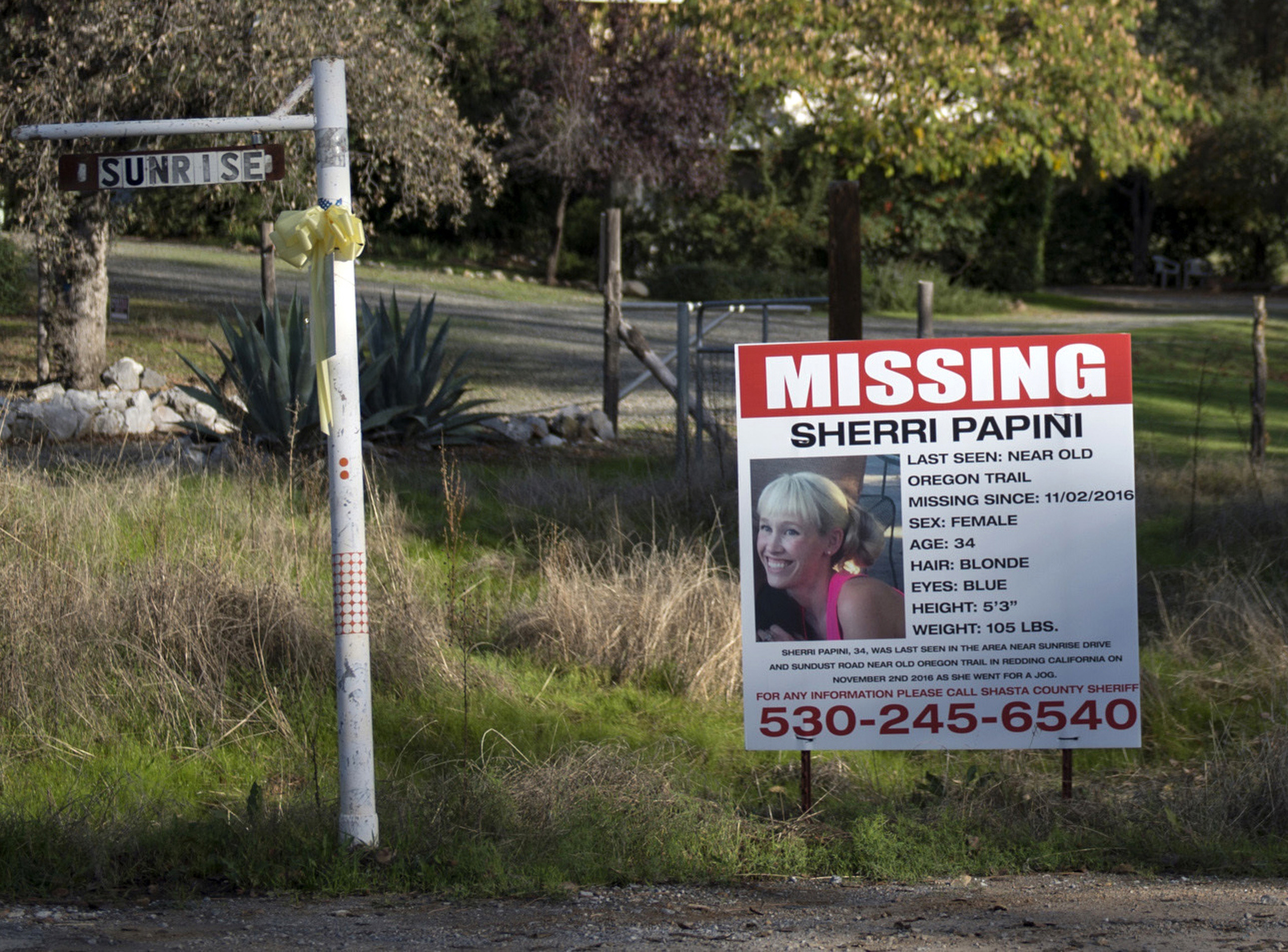 Sherri Papini takes plea deal, admits to fake kidnapping scheme - Vimarsana News