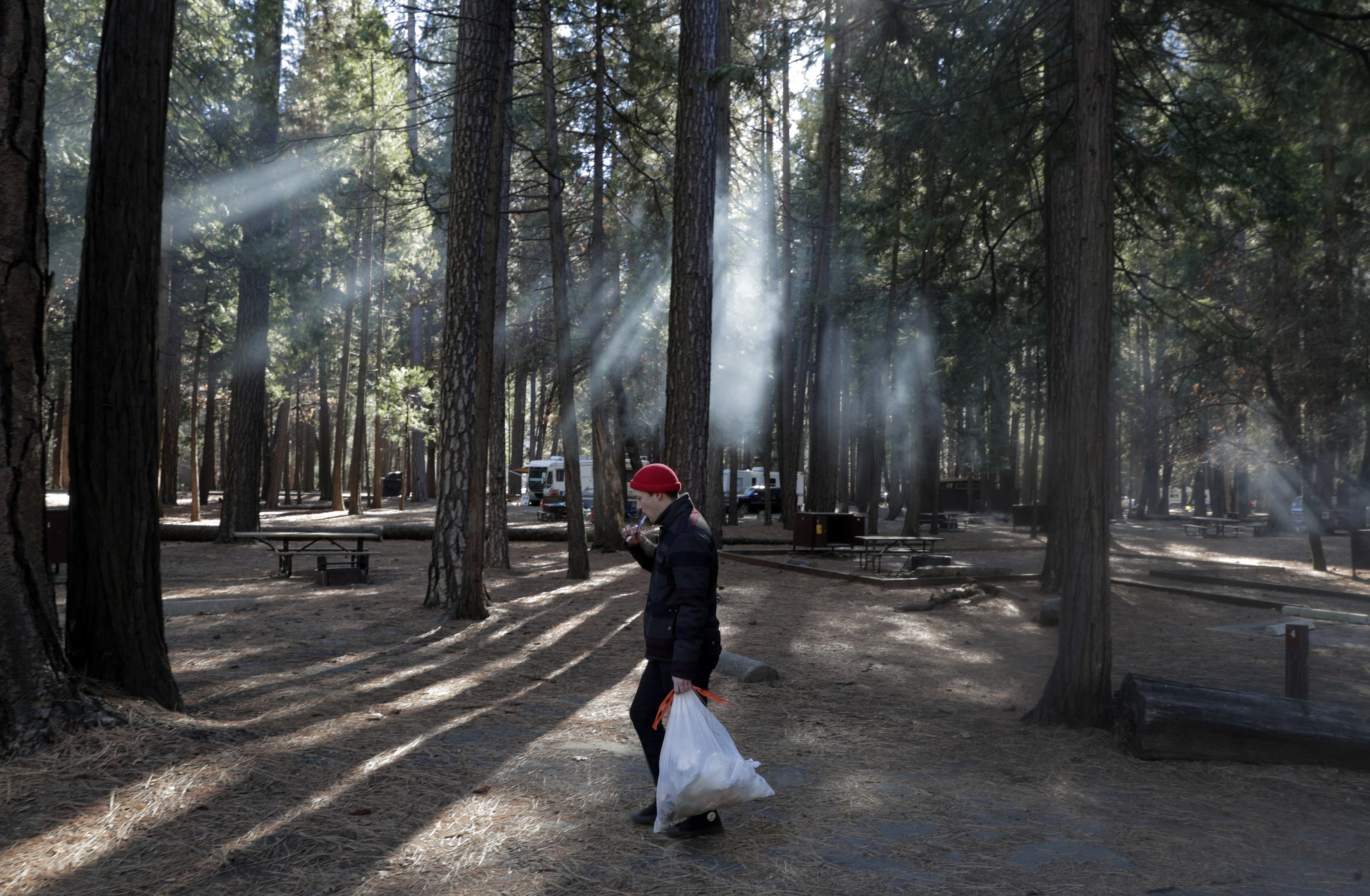 Want to camp in Yosemite? Here's how to snag a reservation this week - Vimarsana News