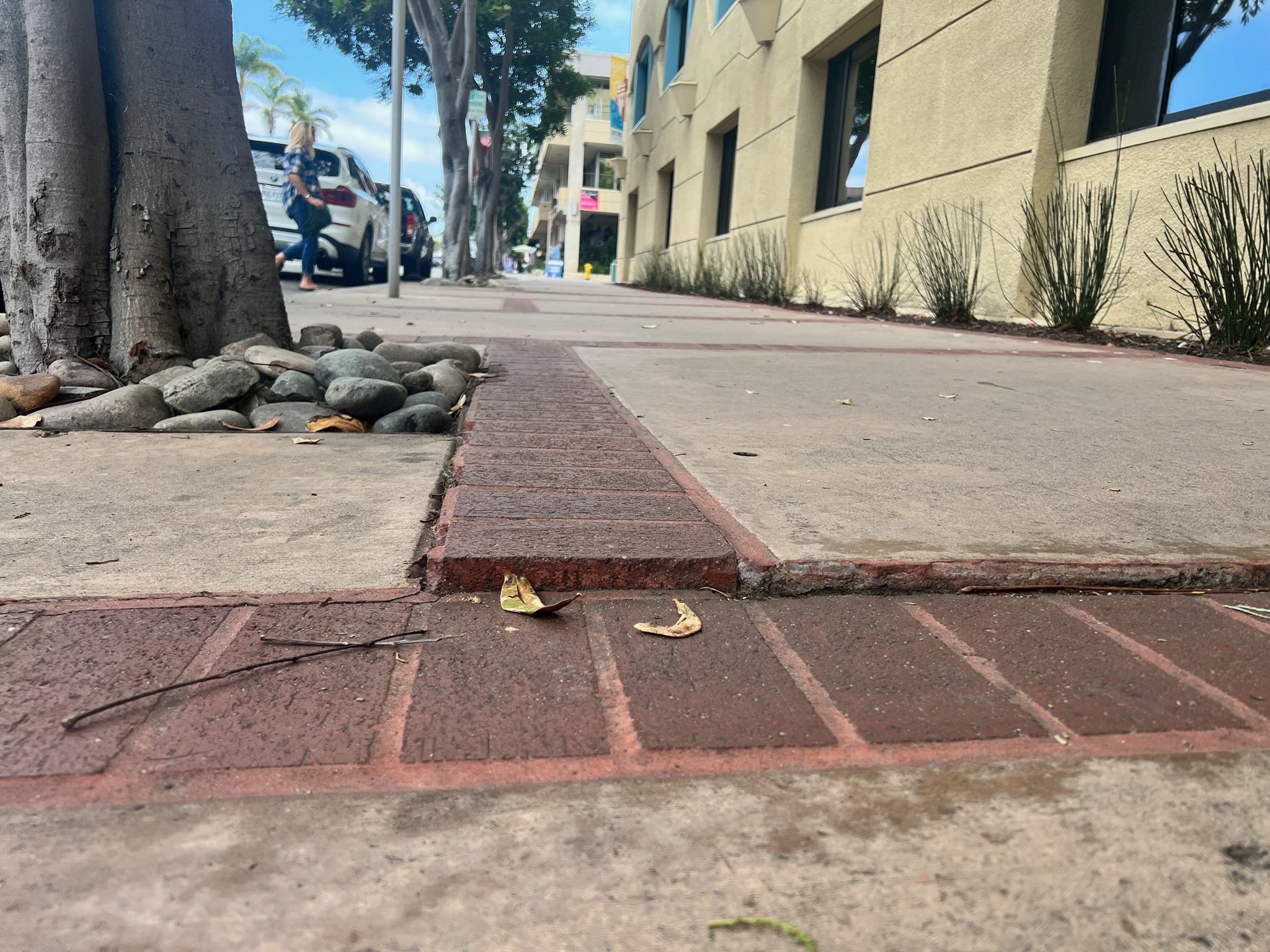 Enhance La Jolla deemed not responsible in trip-and-fall lawsuit - Vimarsana News