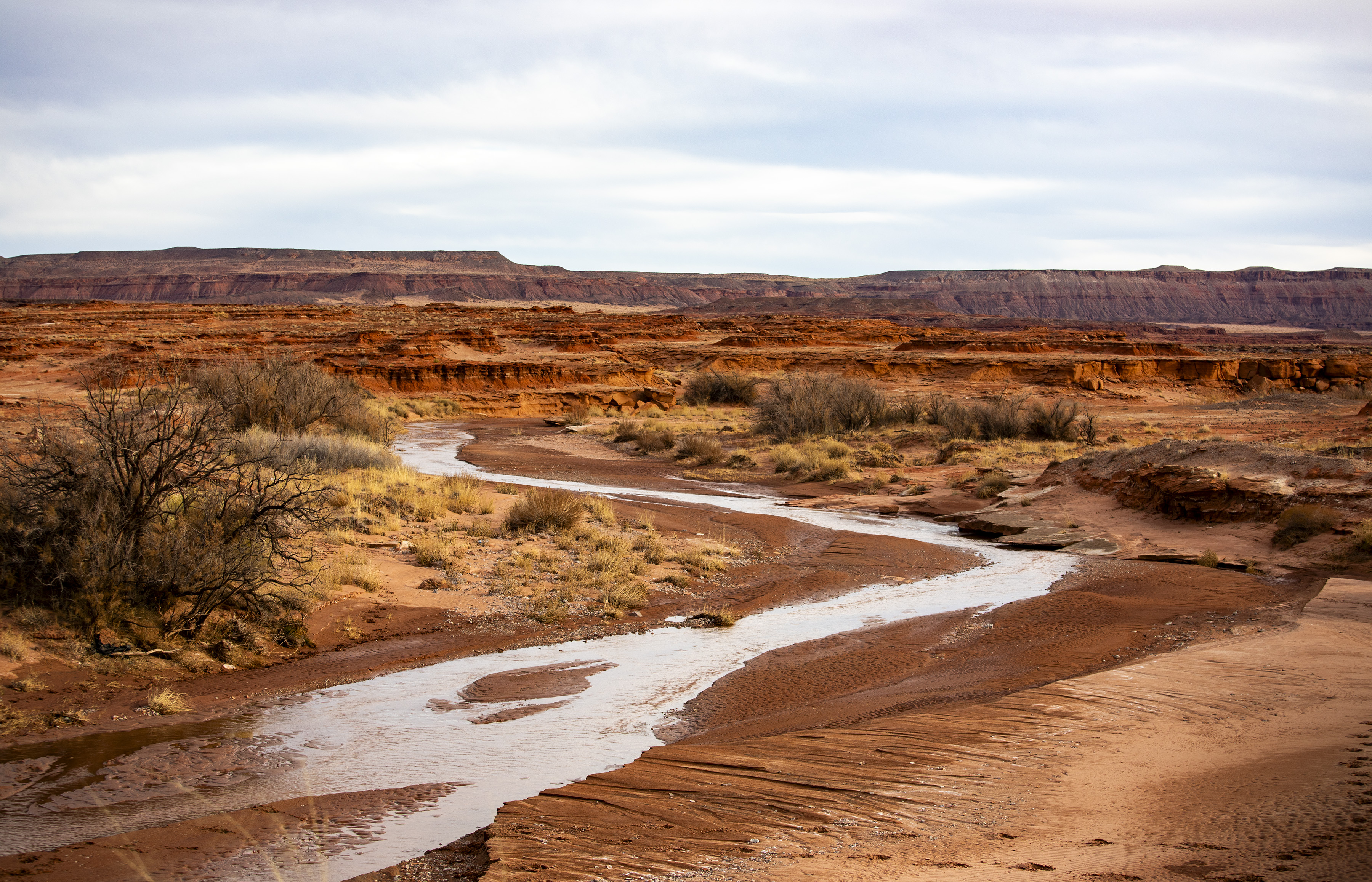 Indigenous tribes cement water rights deal with Arizona - Vimarsana News