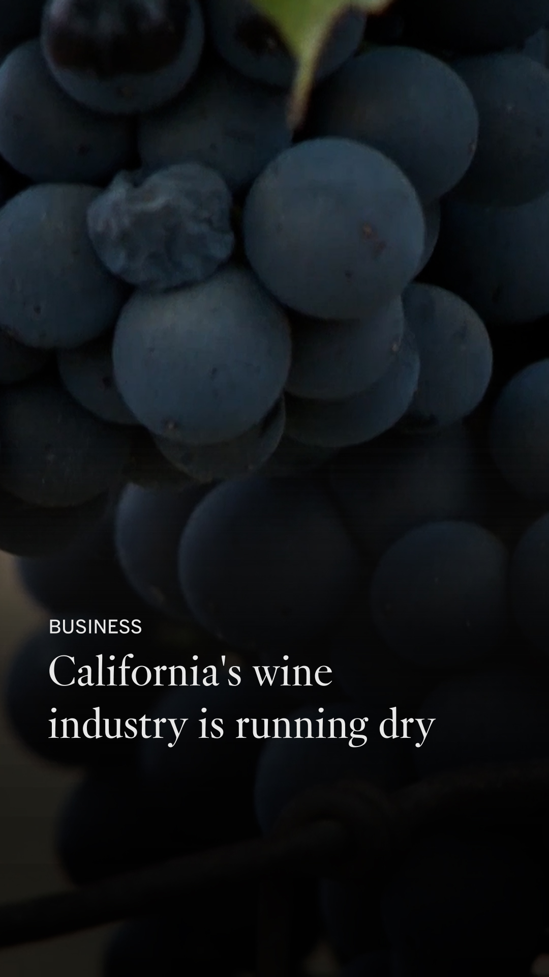 Californias wine industry is going dry