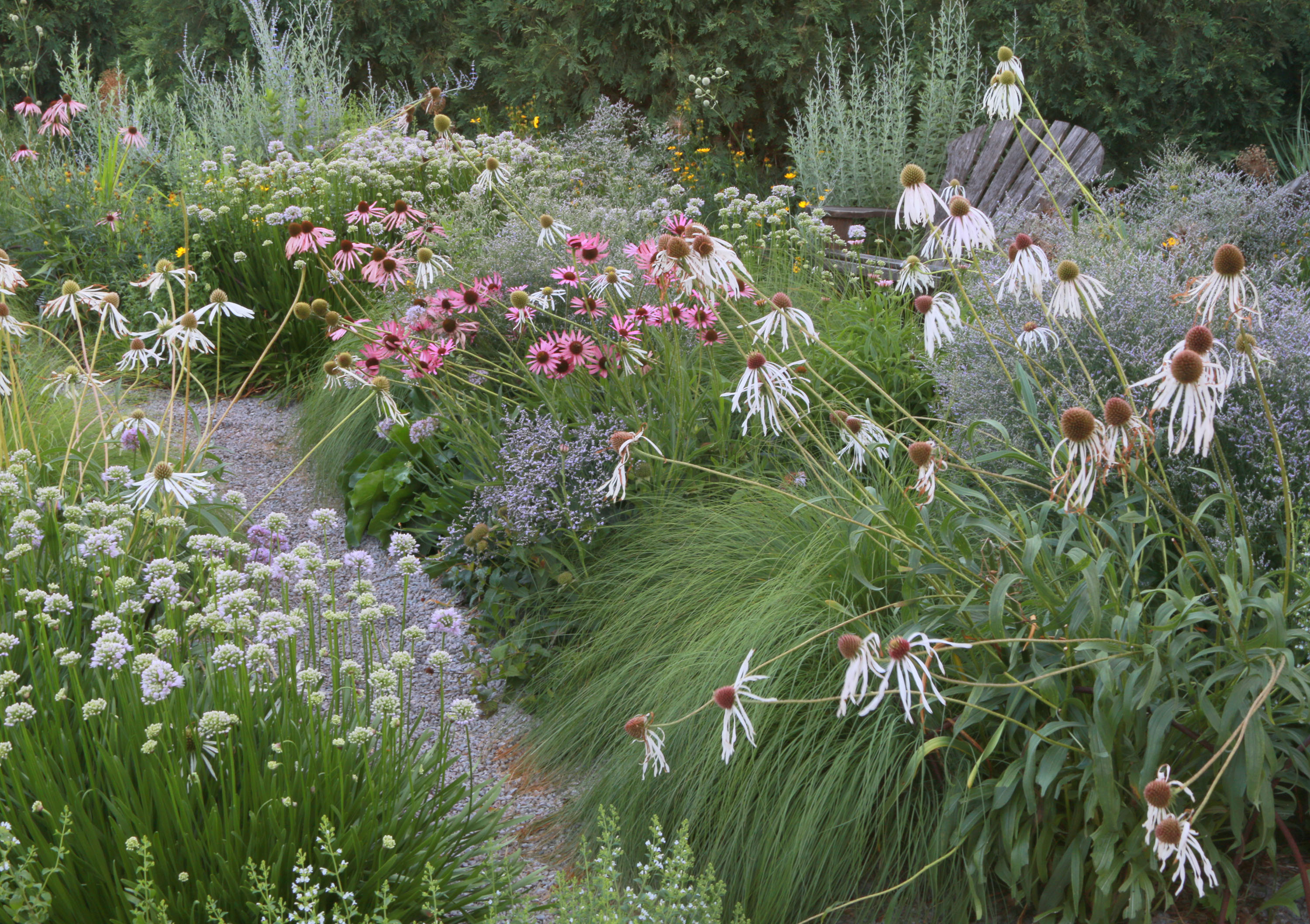 Gravel gardens can yield a surprising show - Vimarsana News