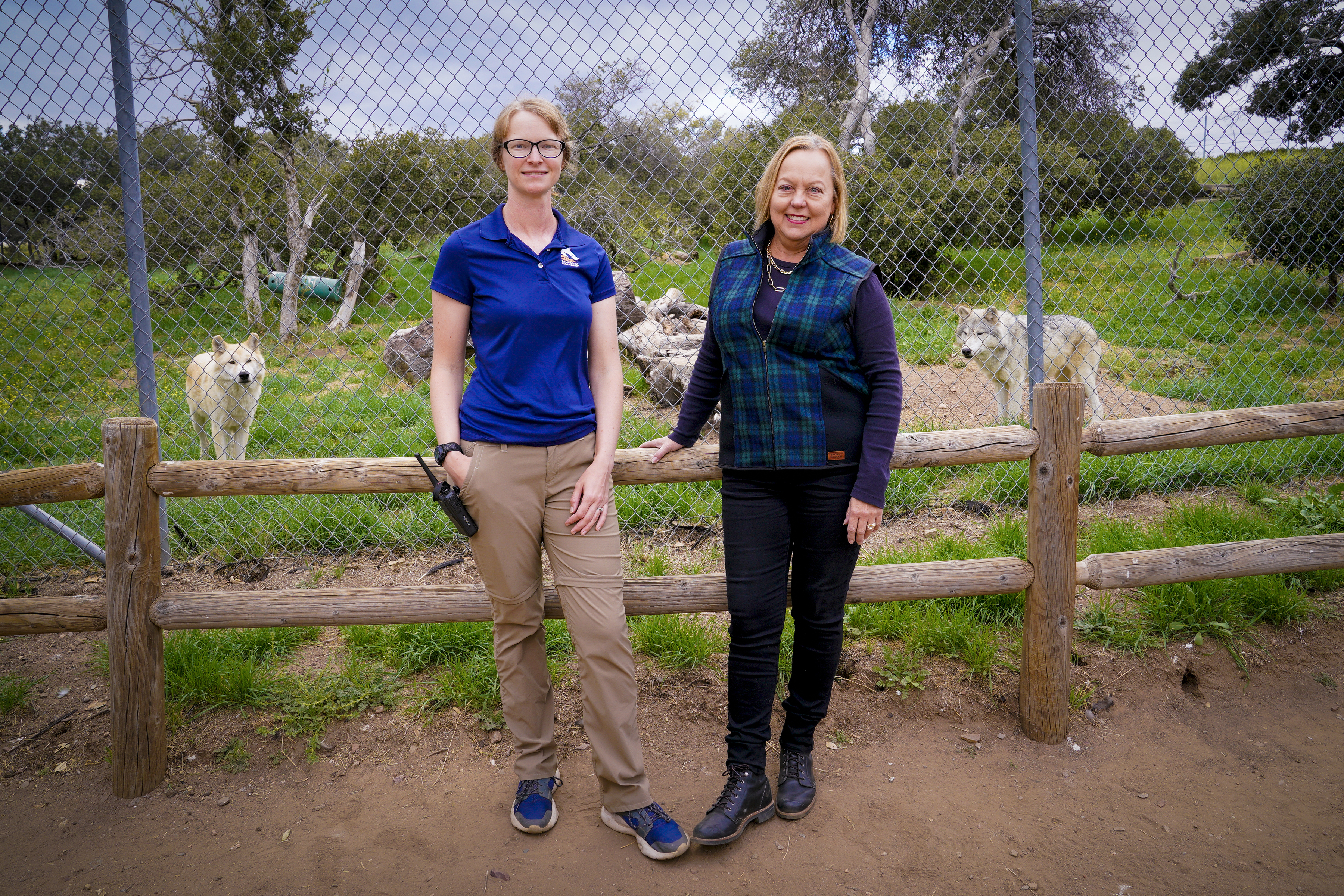 The California Wolf Center in Julian celebrates Halloween with 'Howl-o-Ween' tours - Vimarsana News
