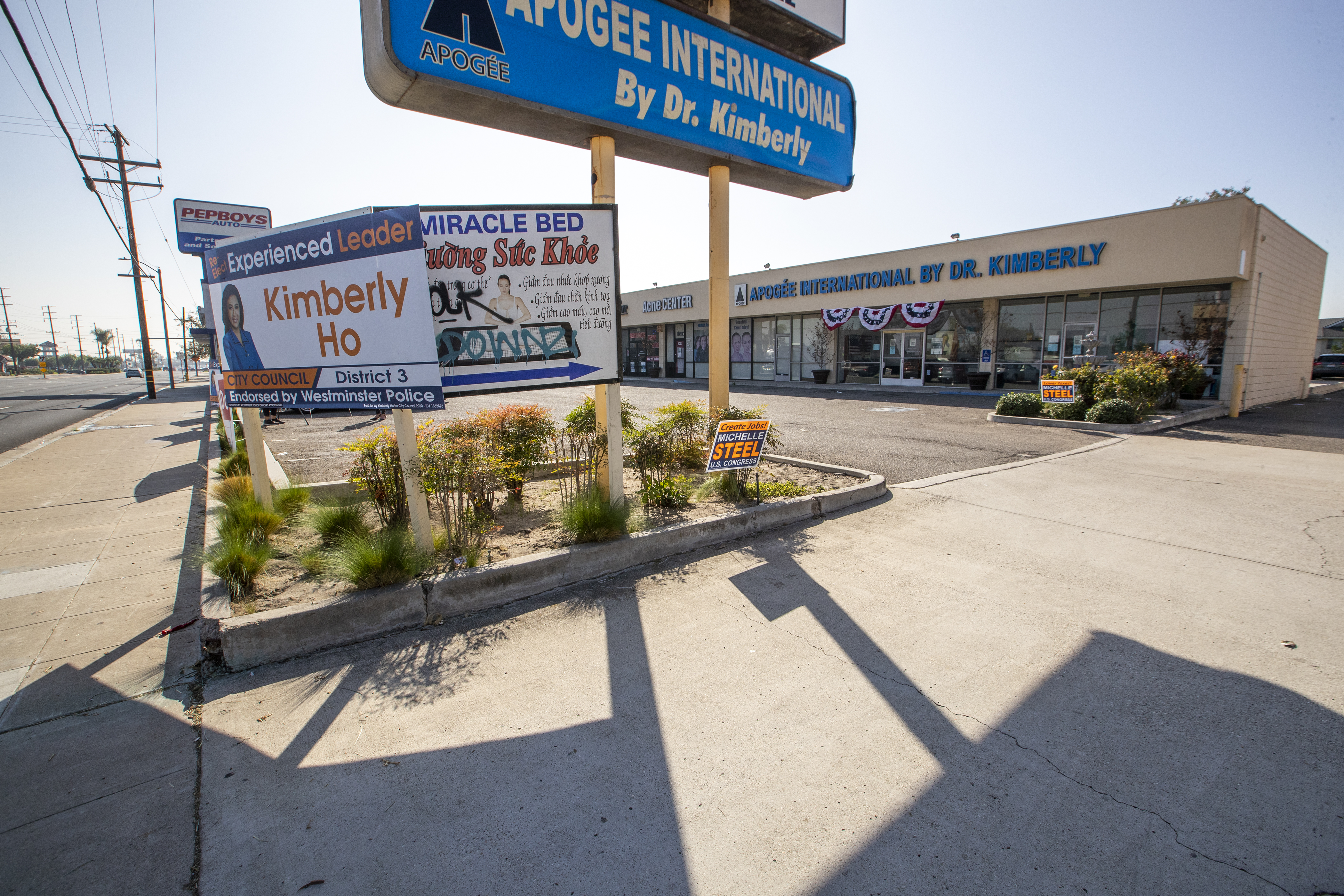 Westminster voting site prompts concerns that other campaigns will follow suit - Vimarsana News