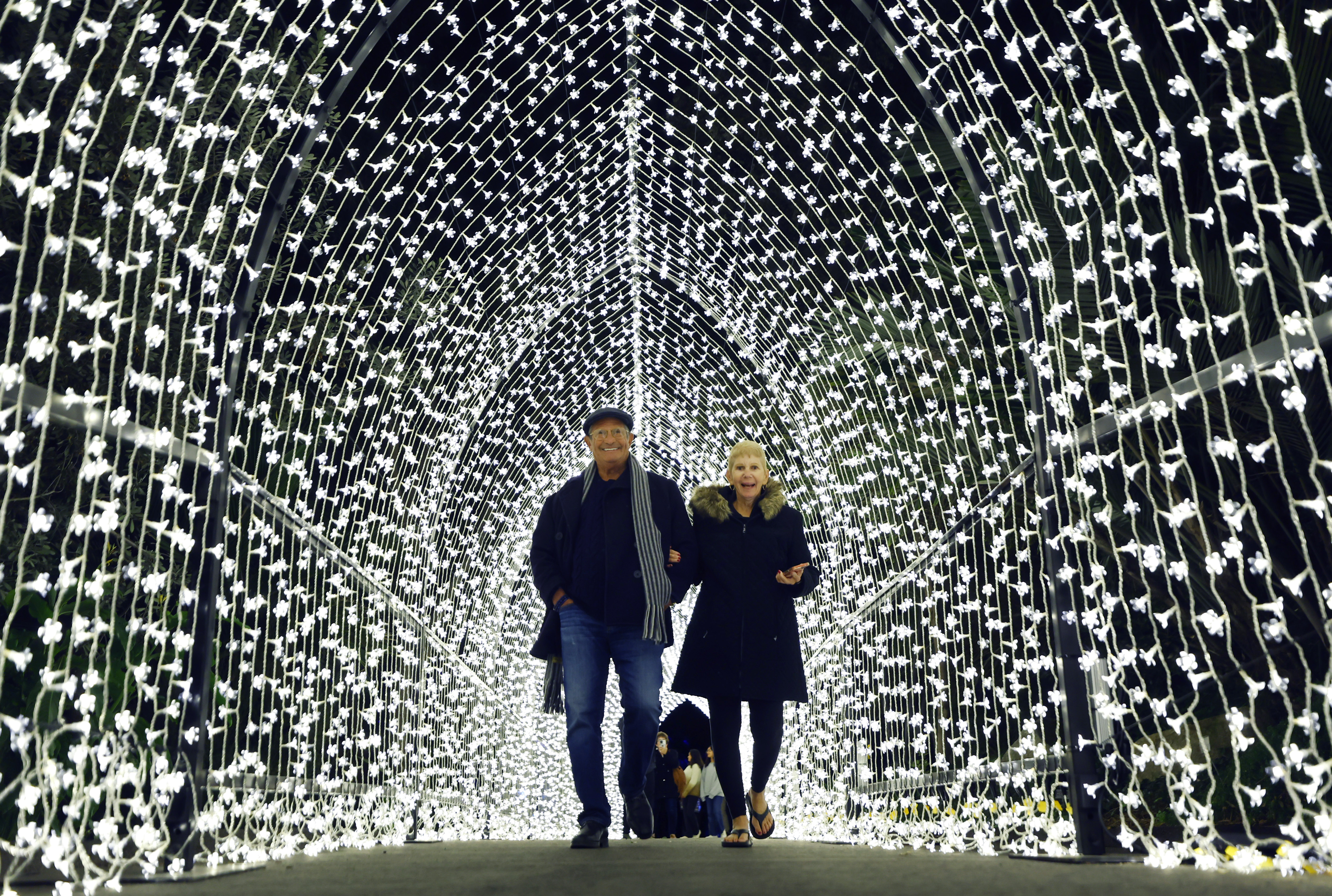 San Diego Botanic Garden dials up the wattage with mile-long Lightscape attraction - Vimarsana News