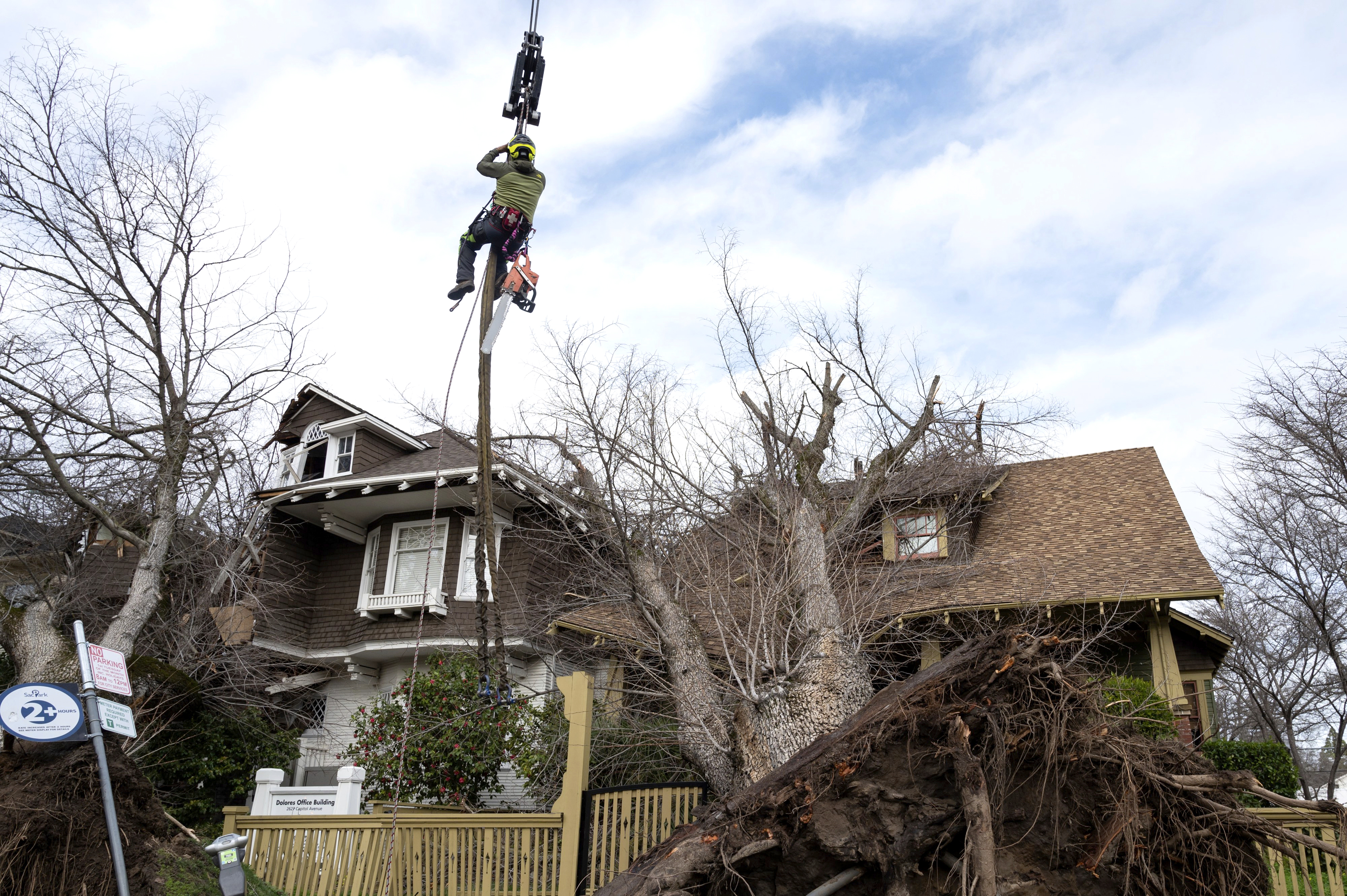 Who pays for damage caused by falling trees and branches? - Vimarsana News