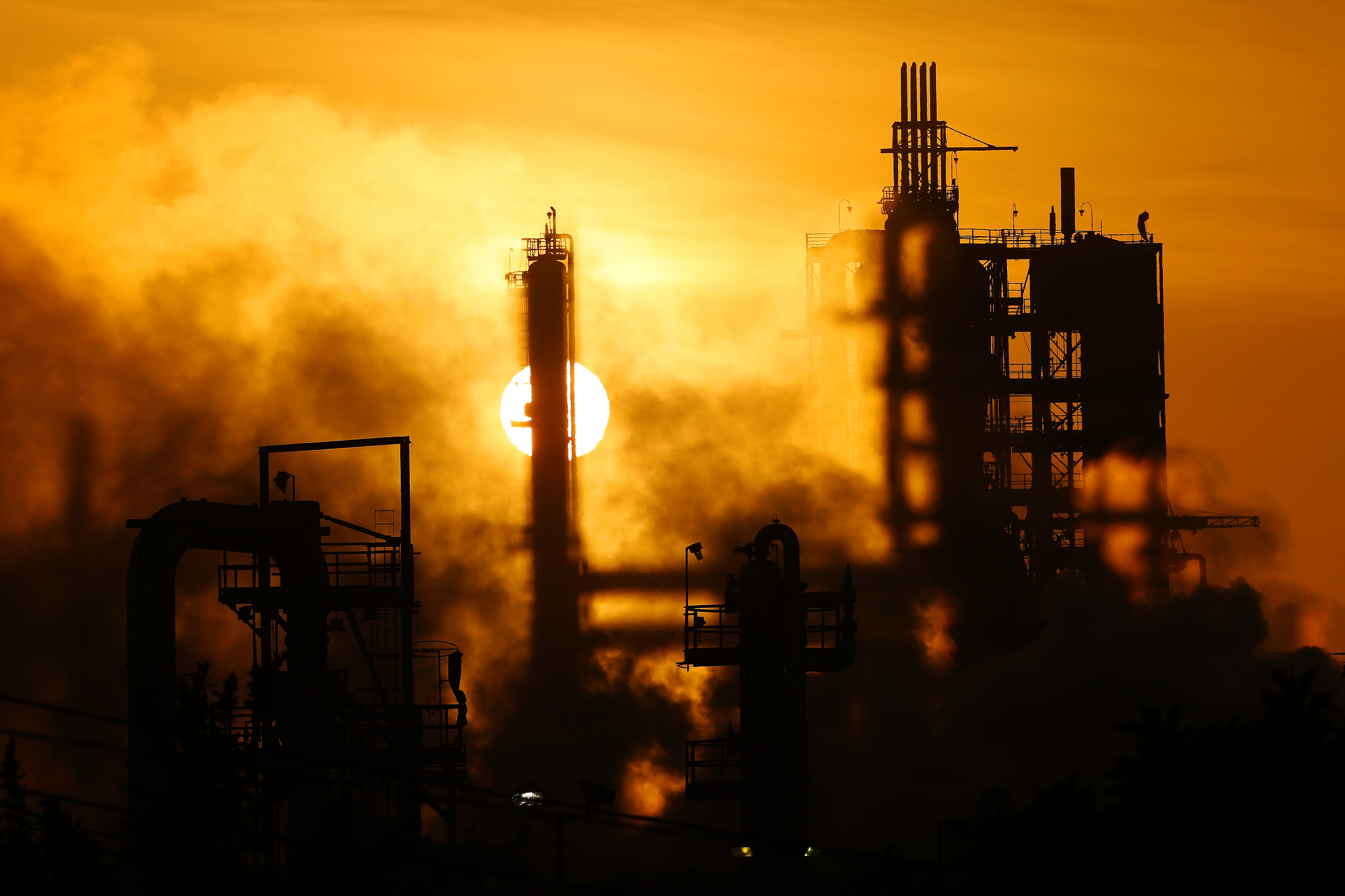 Can California put an end to corporate greenwashing? - Vimarsana News