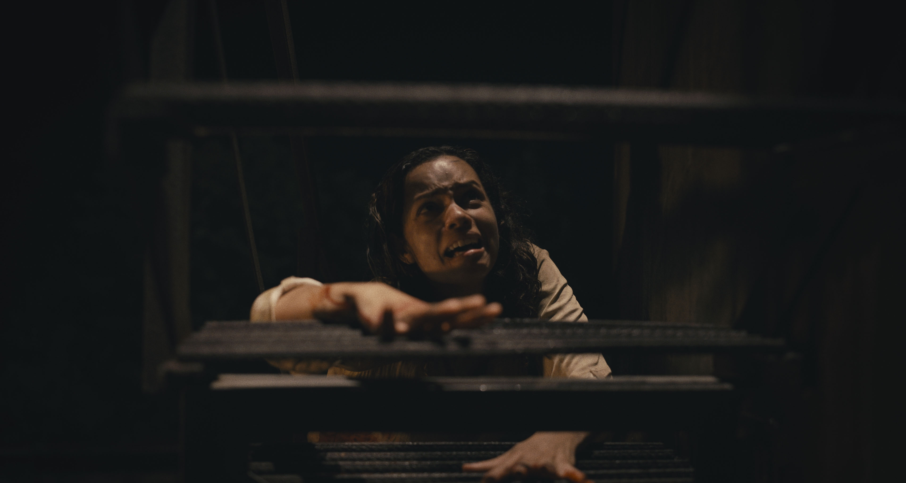 'Barbarian' leads a slow weekend at the domestic box office - Vimarsana News